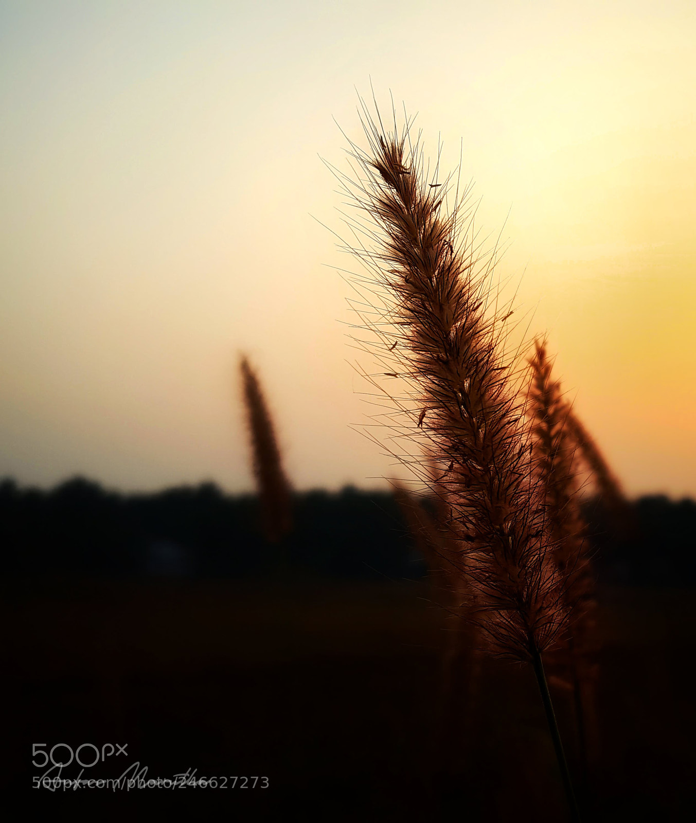 Samsung GALAXY S6 edge sample photo. Sunset.jpg photography