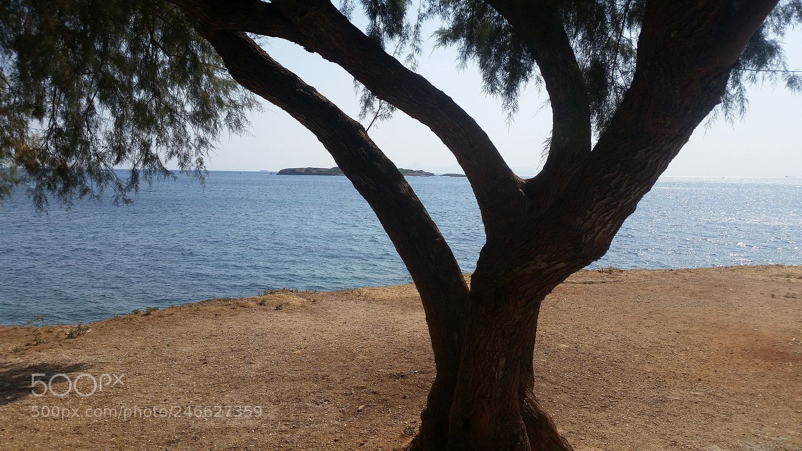 Samsung Galaxy S5 sample photo. Cafe - notos cafe photography