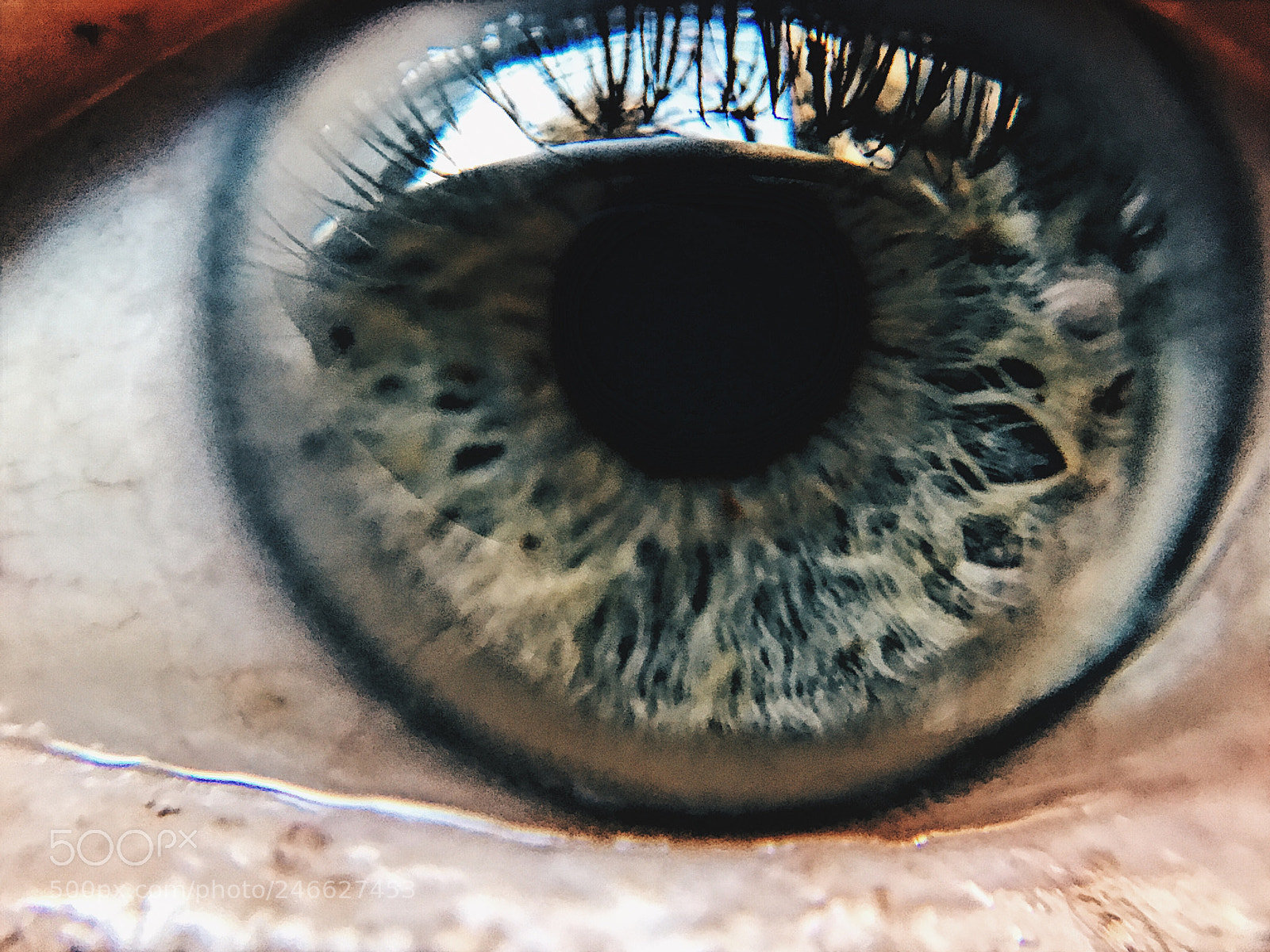 Apple iPhone 7 sample photo. Eye photography