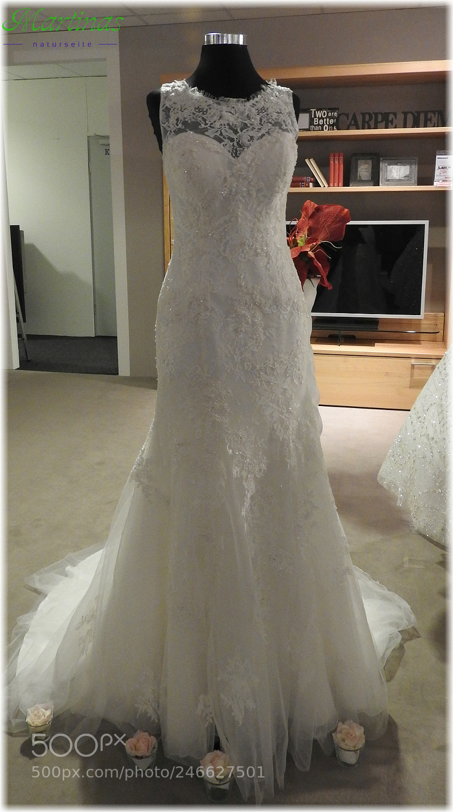 Nikon Coolpix P610 sample photo. Das kleid... photography
