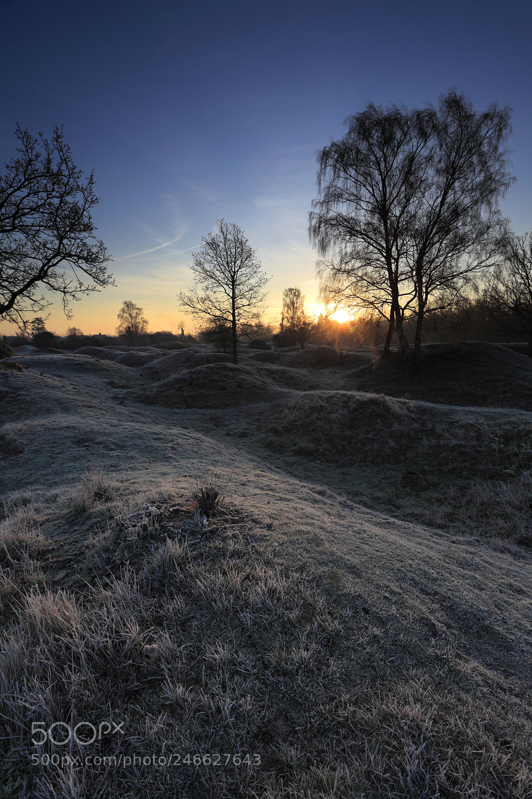 Canon EOS 5D Mark II sample photo. Winter frosty dawn, barnack photography