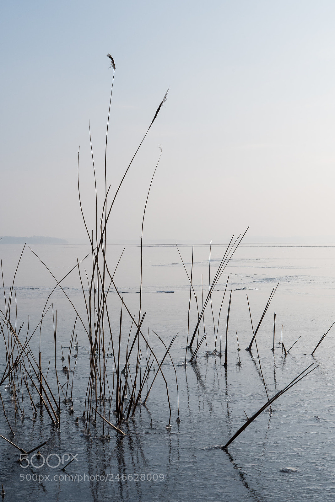 Nikon D500 sample photo. Winter photography