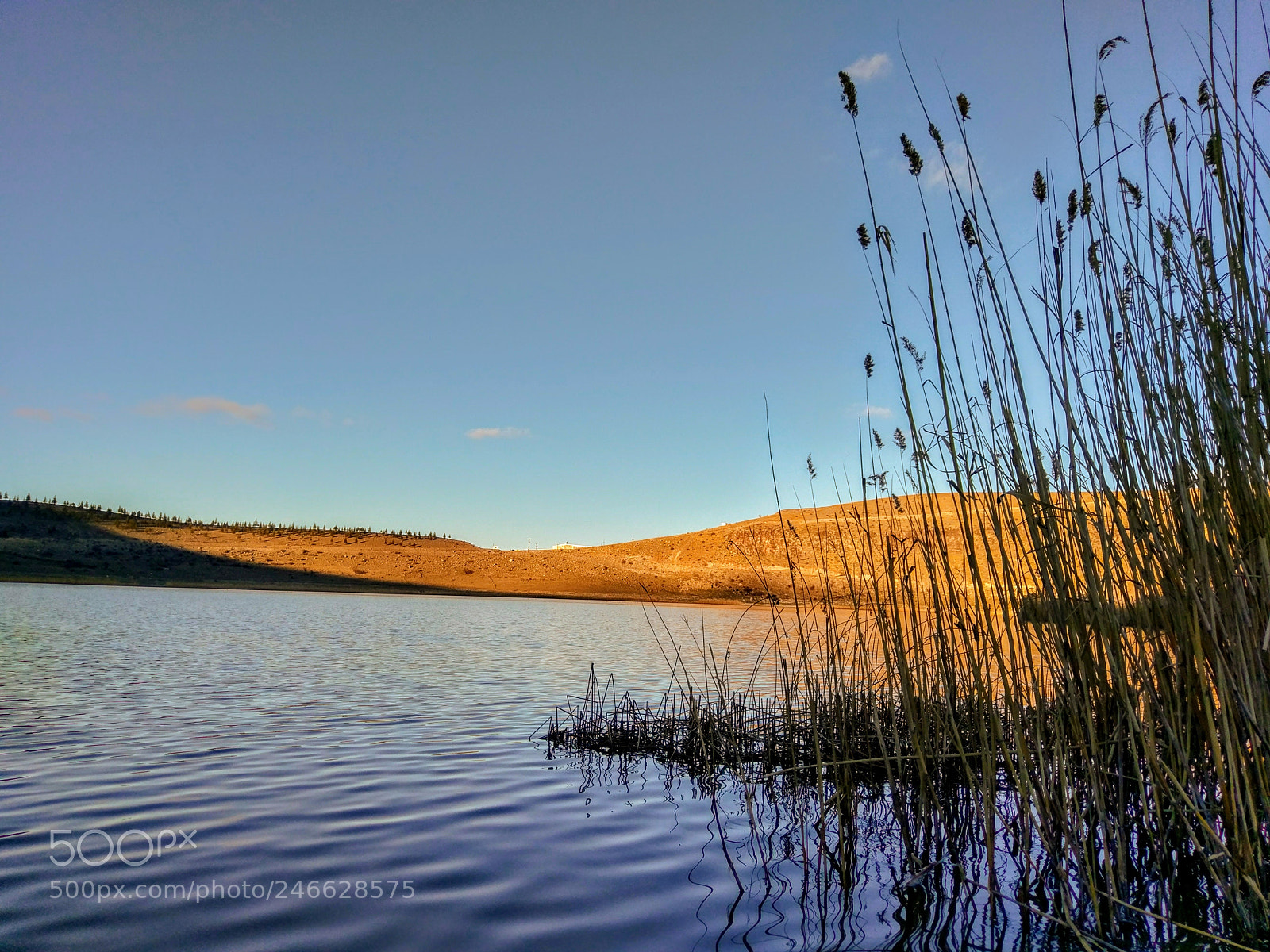 HTC 10 sample photo. Narl g l nev photography