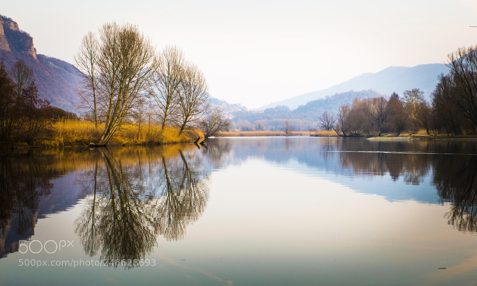 Nikon D3200 sample photo. Walking on a bank photography