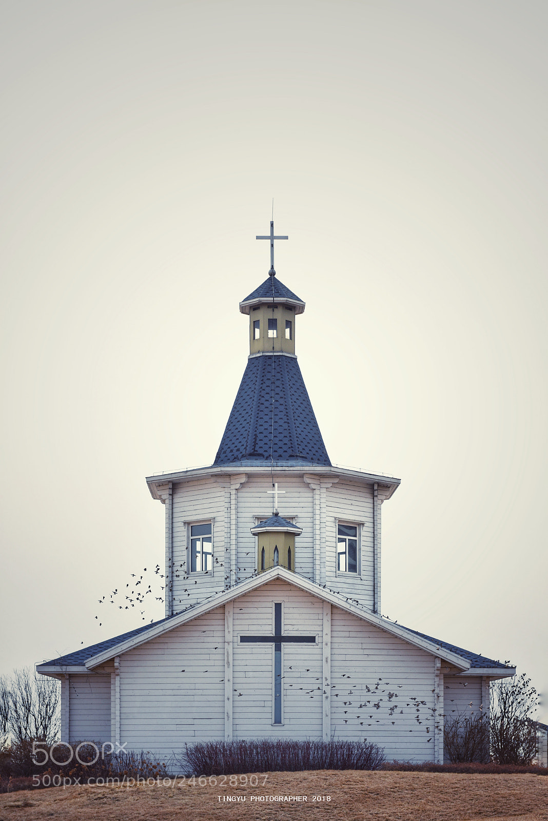 Nikon D810 sample photo. Untitled photography