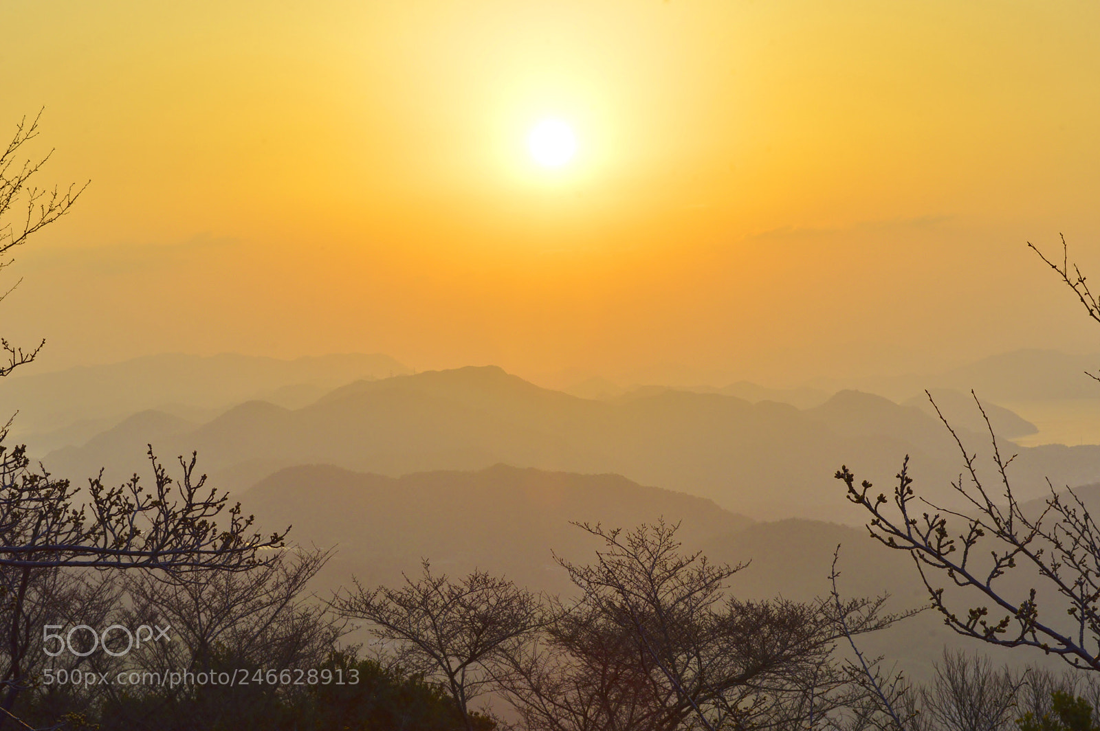 Nikon D3200 sample photo. Sunrise.....spring photography