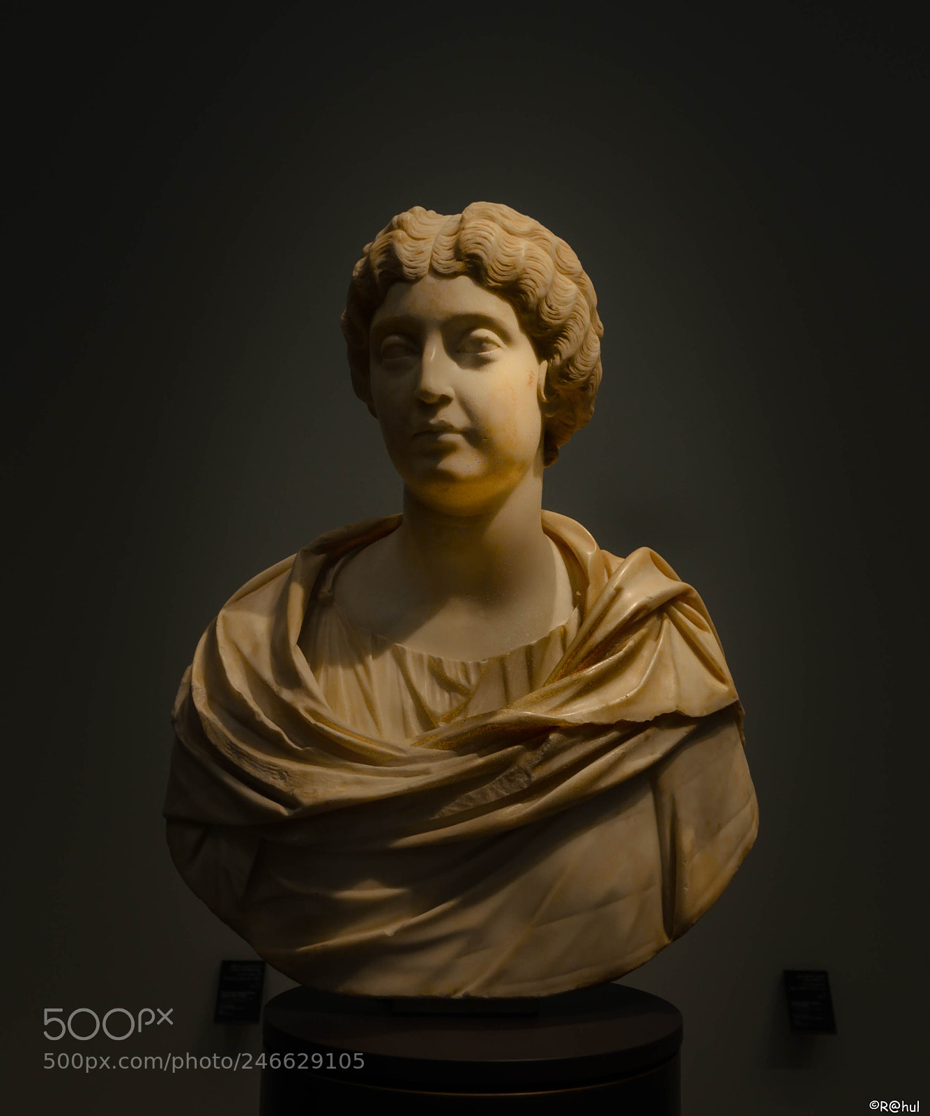 Nikon D5100 sample photo. The statue photography