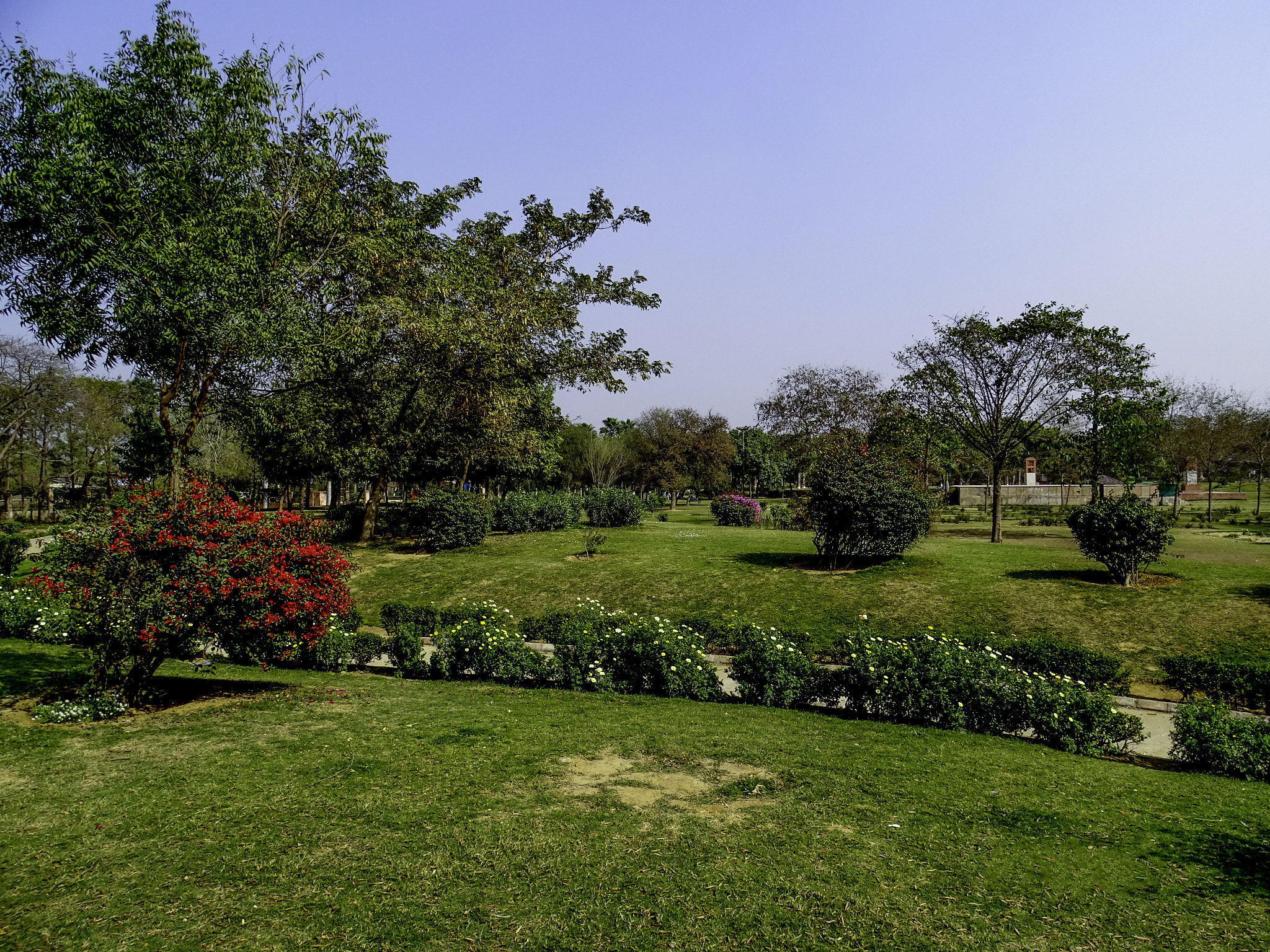 Sony Cyber-shot DSC-HX350 sample photo. Park photography