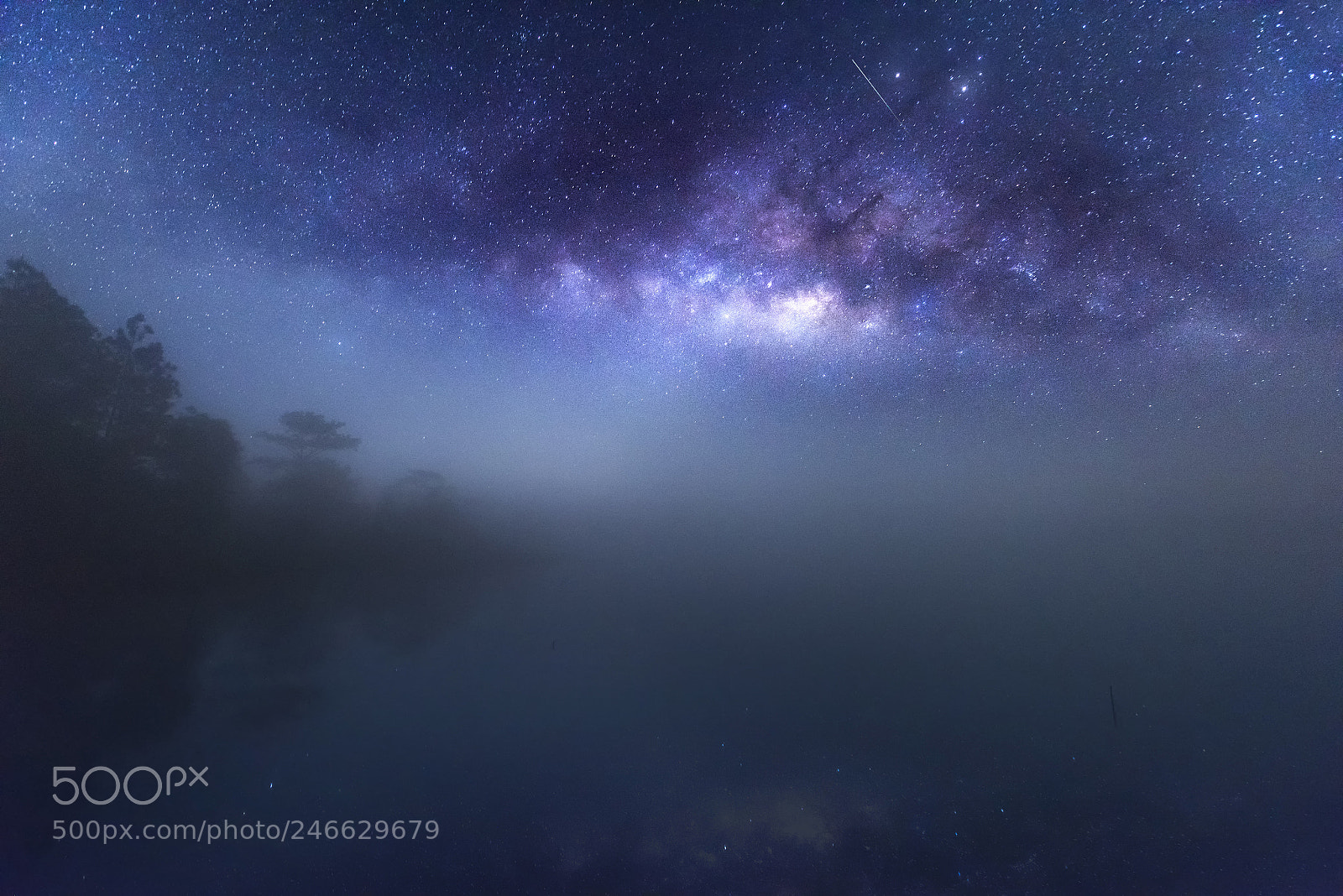 Nikon D810 sample photo. Milky way with misty photography