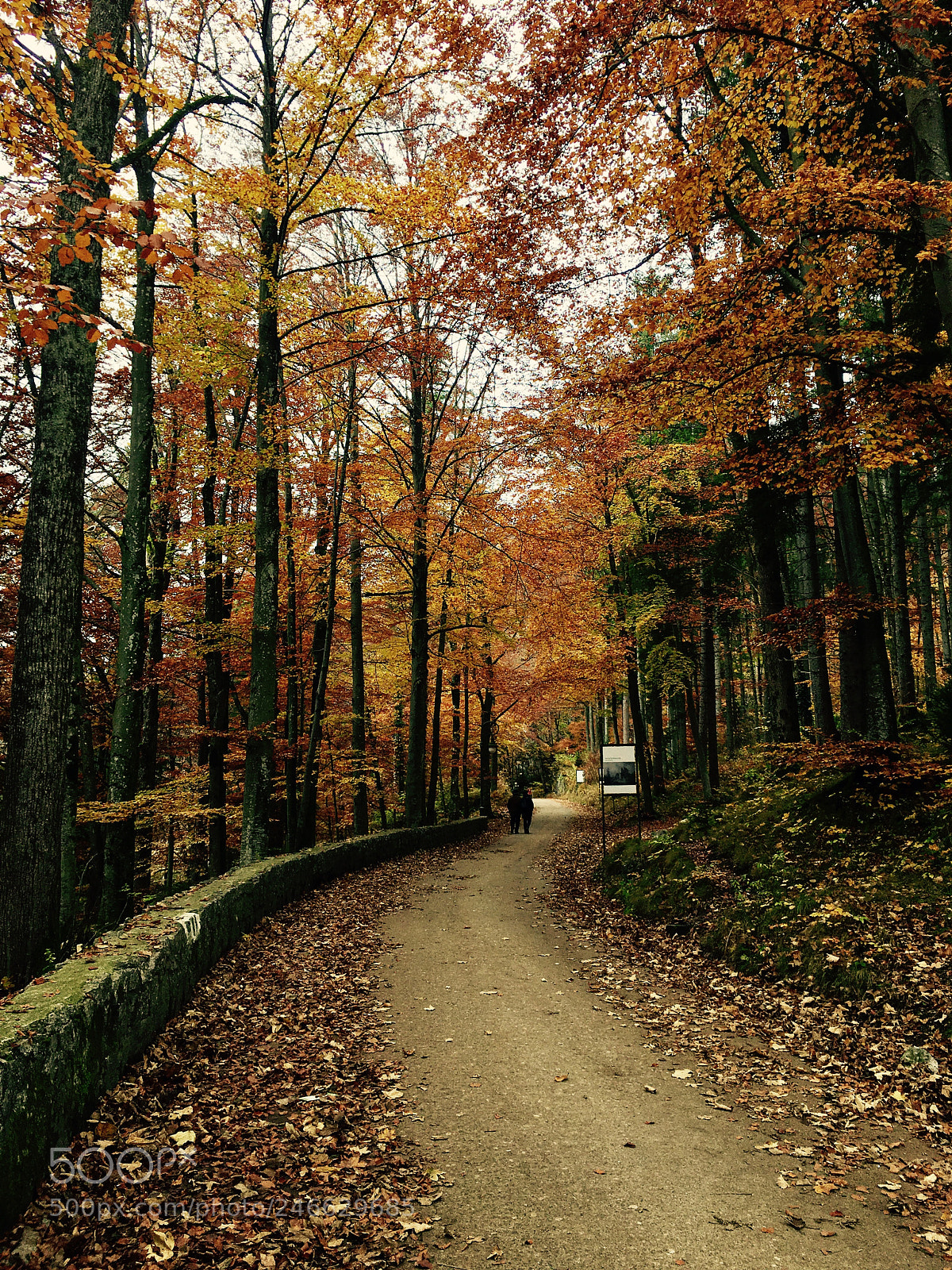 Apple iPhone 6s sample photo. Walking to neuschwanstein castle. photography