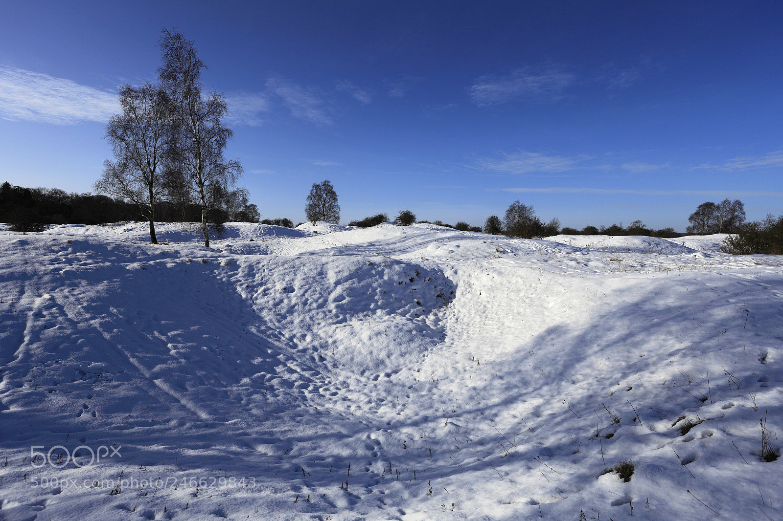 Canon EOS 5D Mark II sample photo. Winter snow at barnack photography