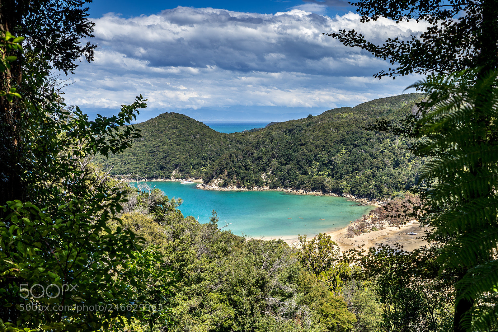 Sony a9 sample photo. Bark bay photography