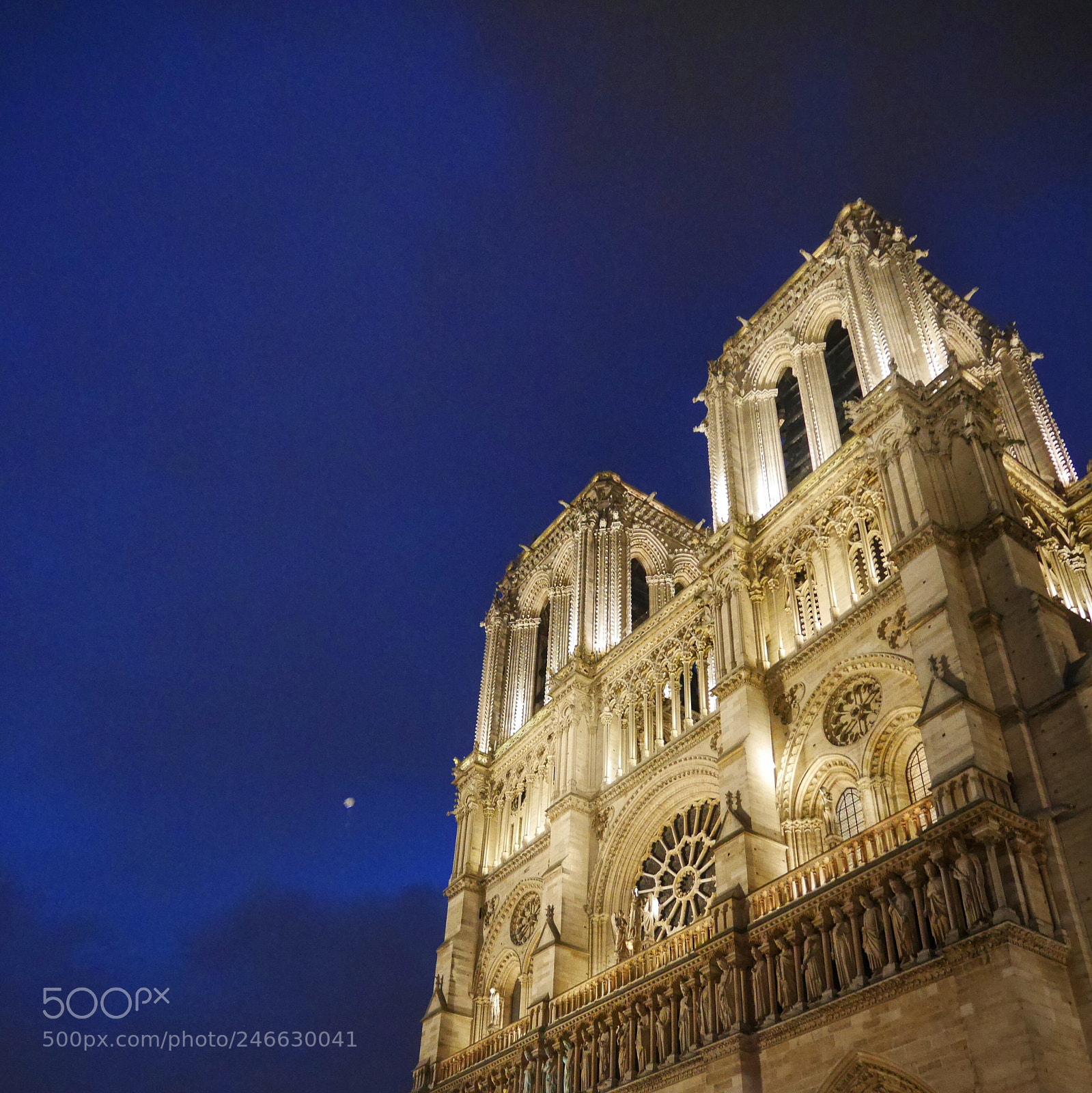 Panasonic Lumix DMC-GM1 sample photo. Notre-dame photography