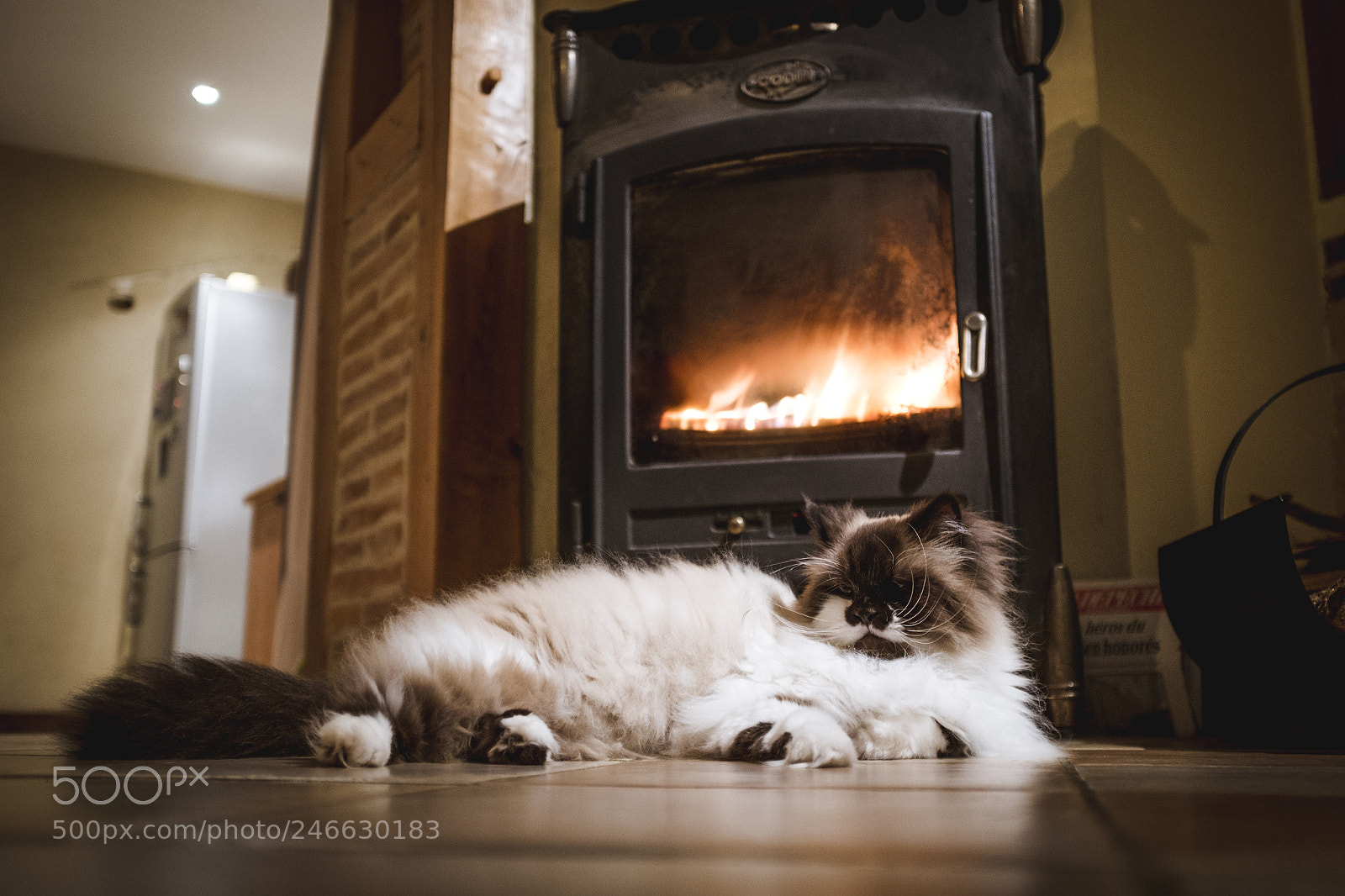 Fujifilm X100T sample photo. Hot stuff photography