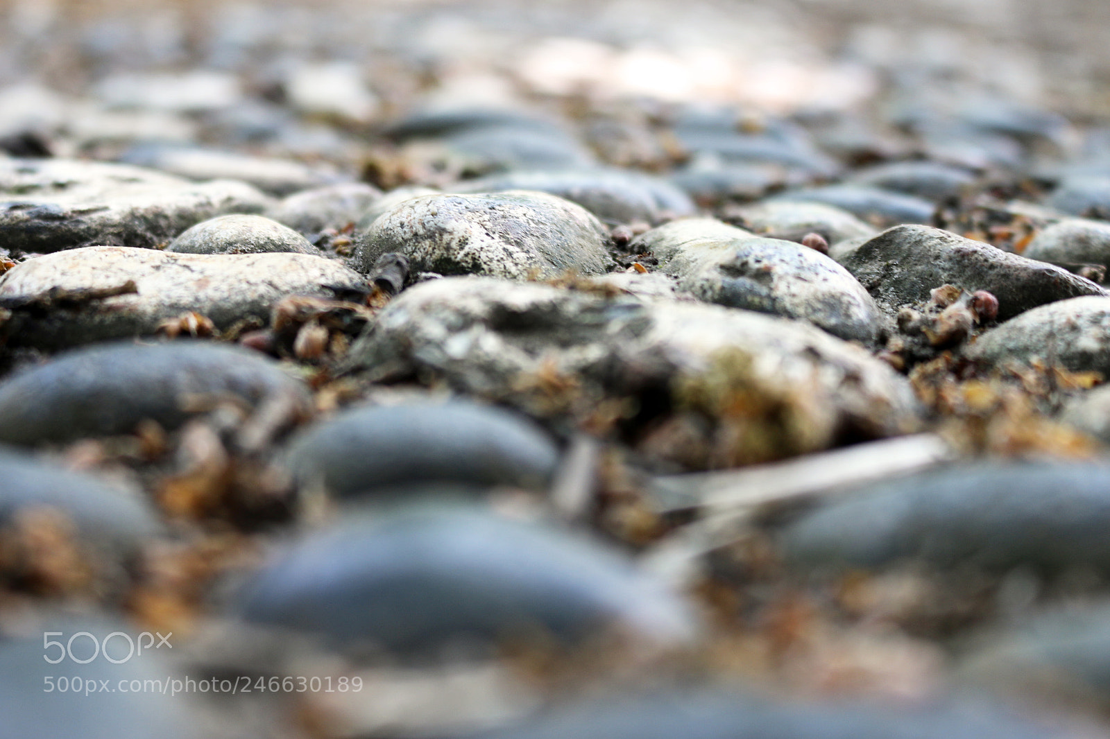 Canon EOS 70D sample photo. Pebbles and patterns photography