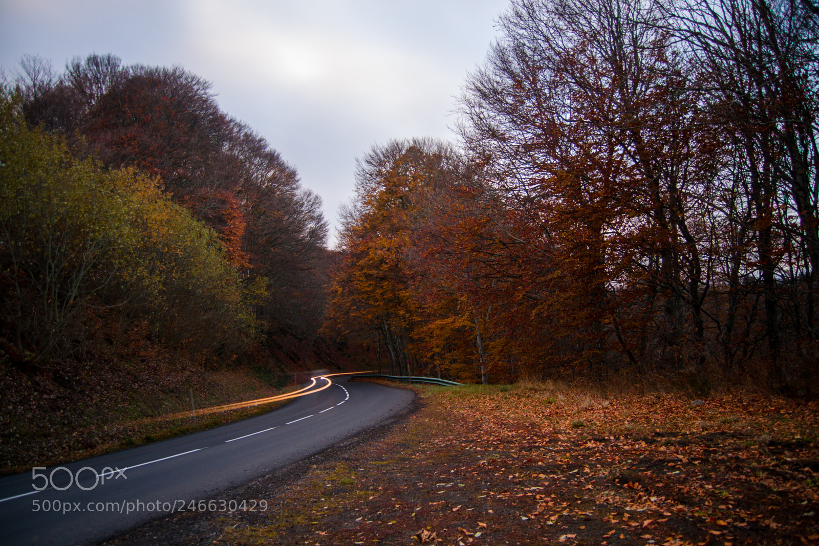 Nikon D3100 sample photo. Massif du sancy photography