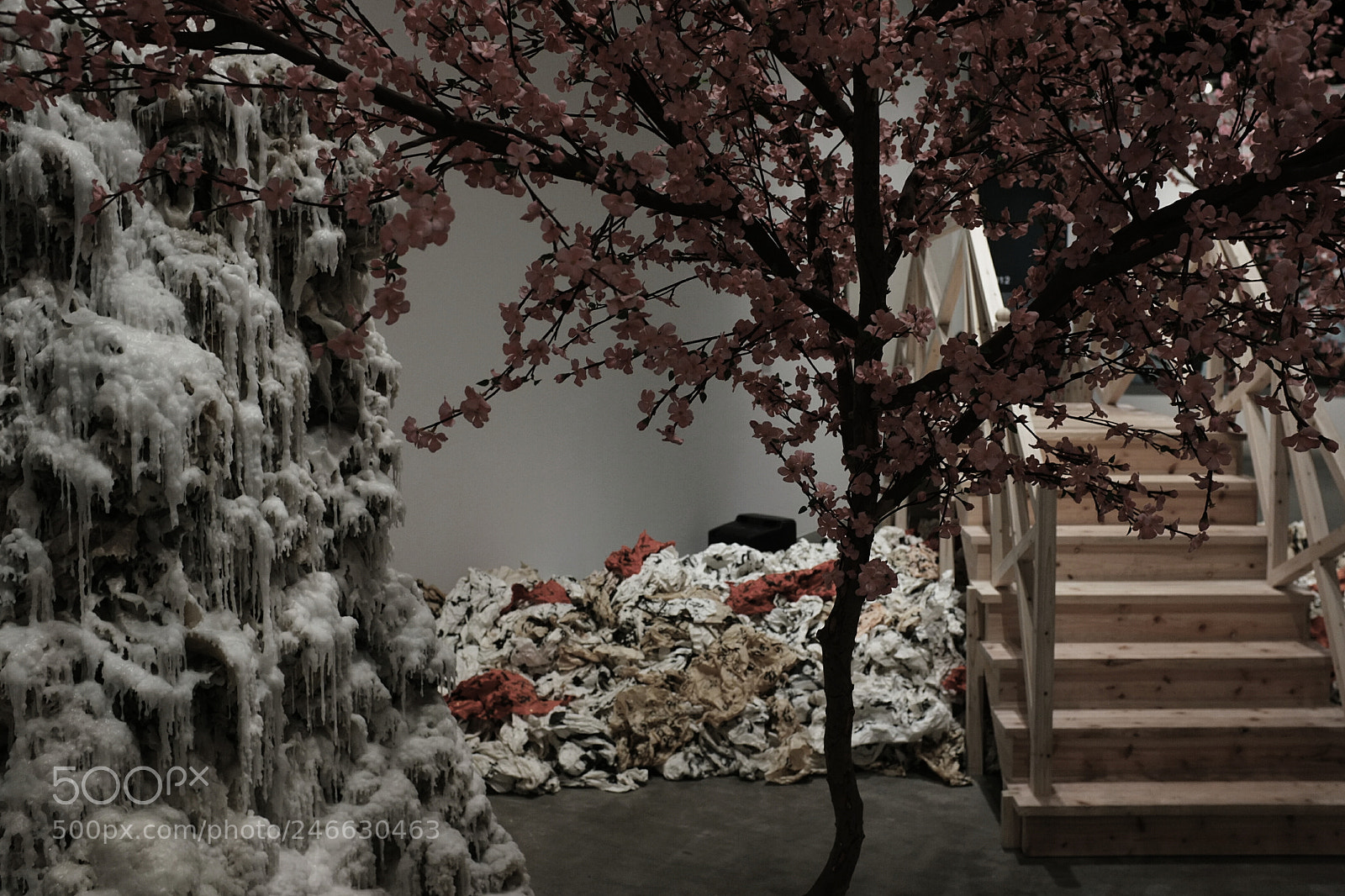 Fujifilm FinePix X100 sample photo. Untitled photography