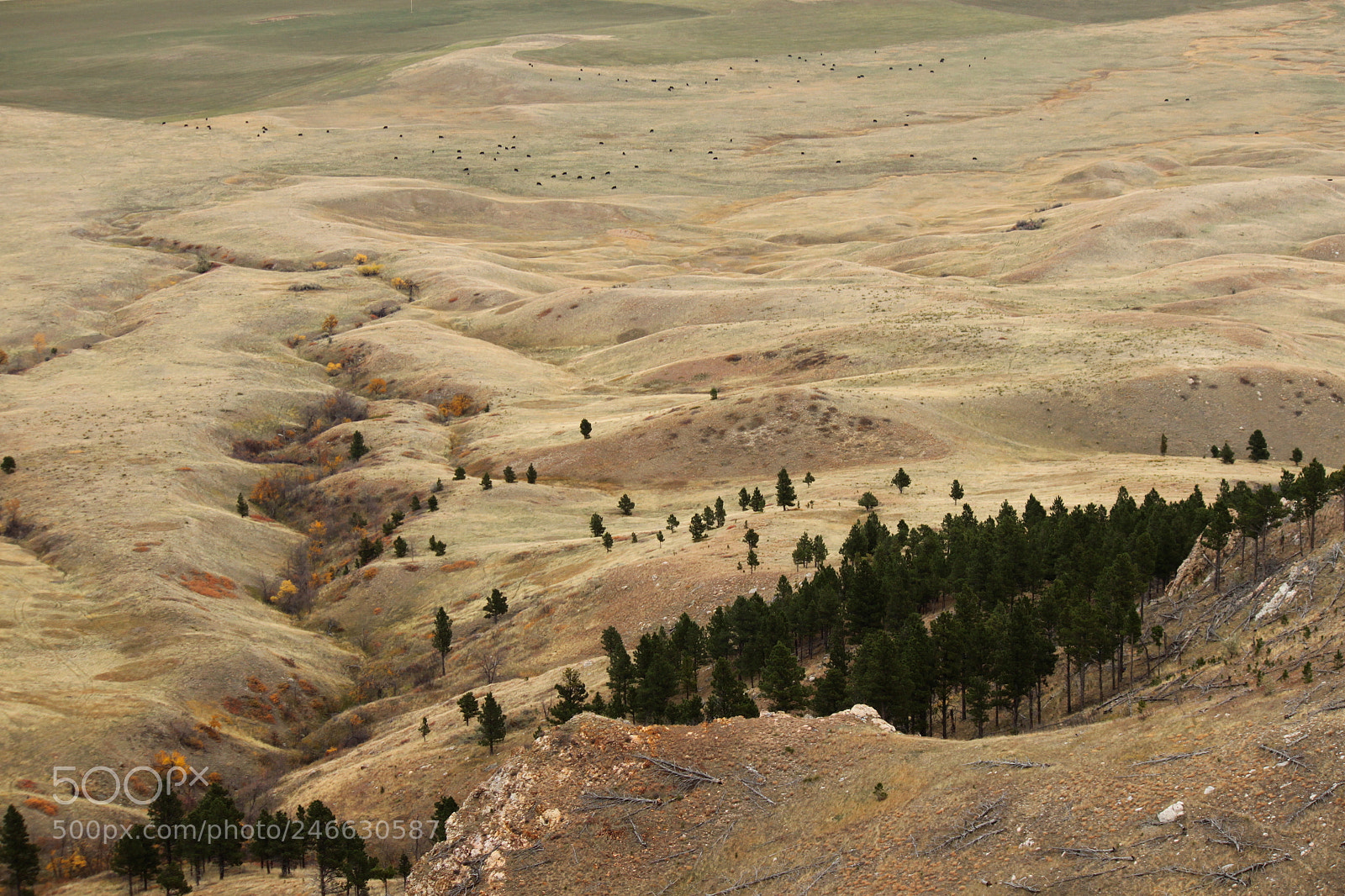 Canon EOS 500D (EOS Rebel T1i / EOS Kiss X3) sample photo. Bearbutte view photography