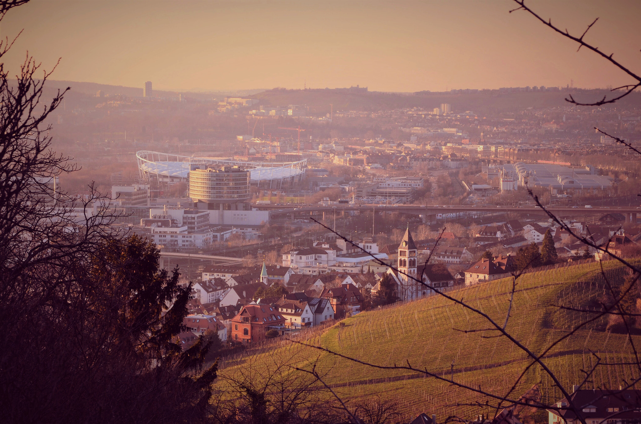 Nikon D5100 + Sigma 17-70mm F2.8-4 DC Macro OS HSM | C sample photo. Evening light photography