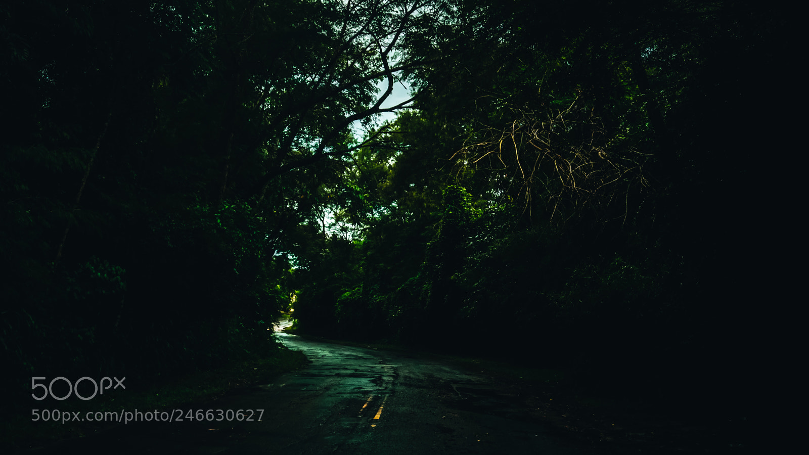 Sony a6500 sample photo. Caminho photography