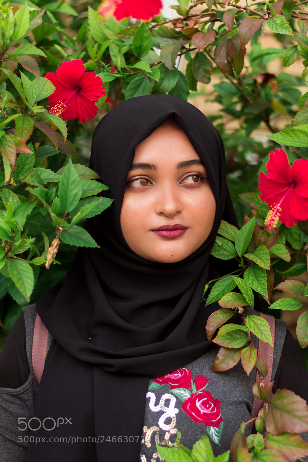 Nikon D5200 sample photo. Untitled photography