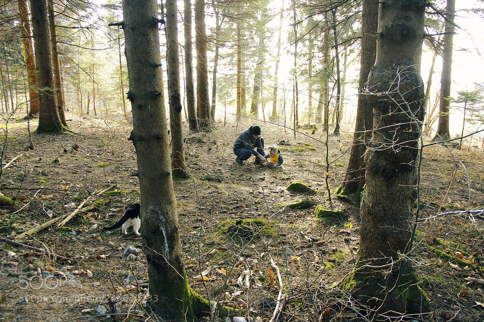 Canon EOS 7D sample photo. Into the woods photography