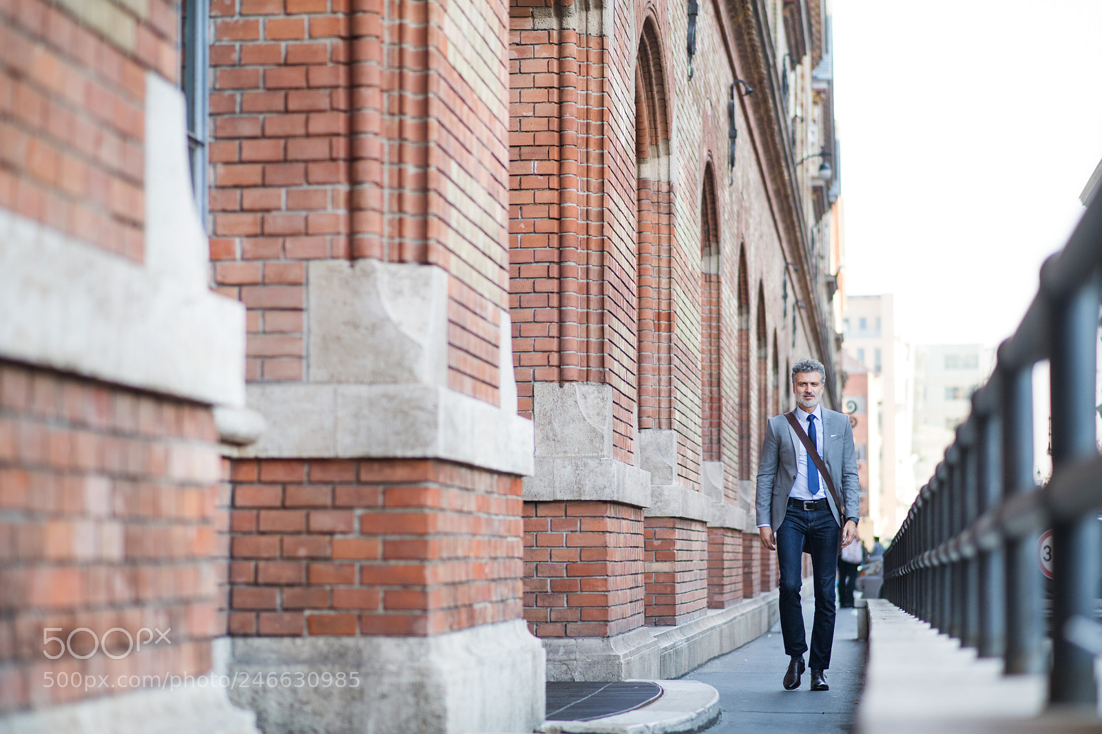 Nikon D5 sample photo. Mature businessman walking in photography