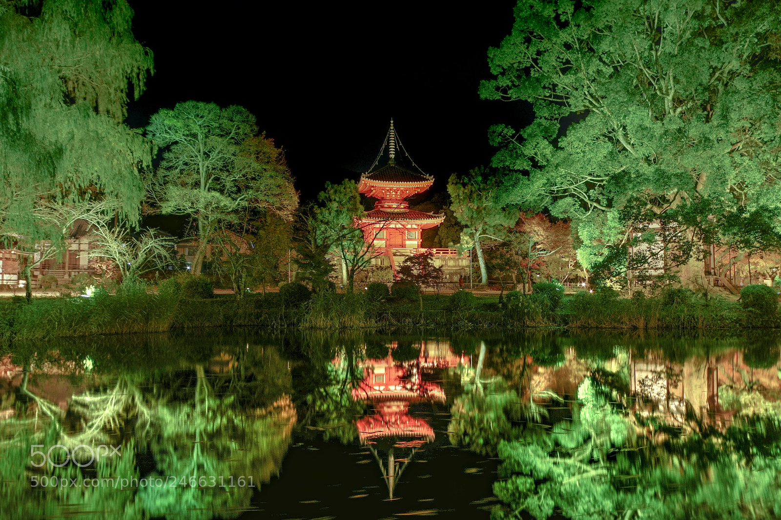 Pentax K-3 sample photo. Japan  kyoto 大覚寺 photography