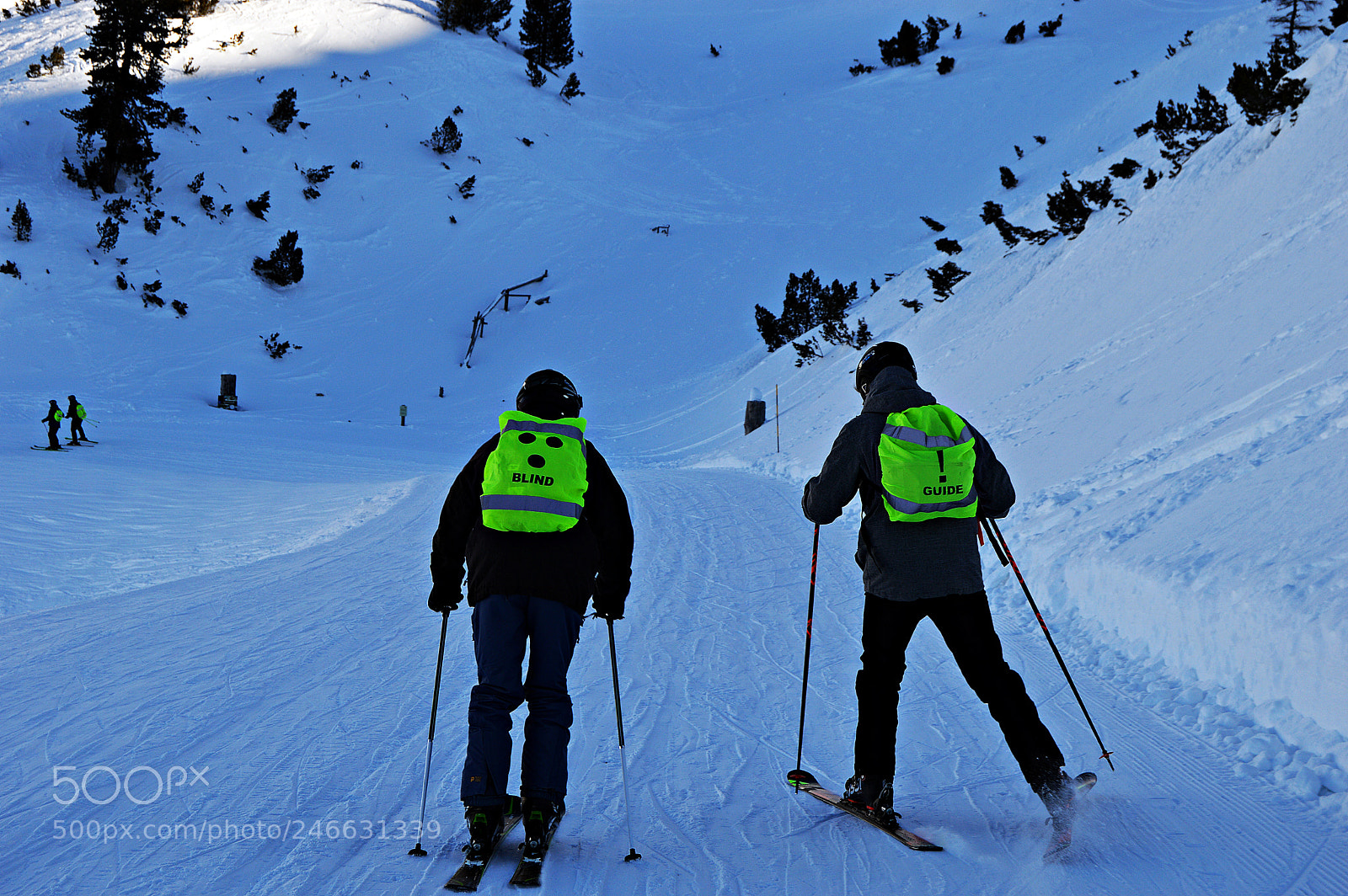 Nikon D3200 sample photo. Blind skiing photography