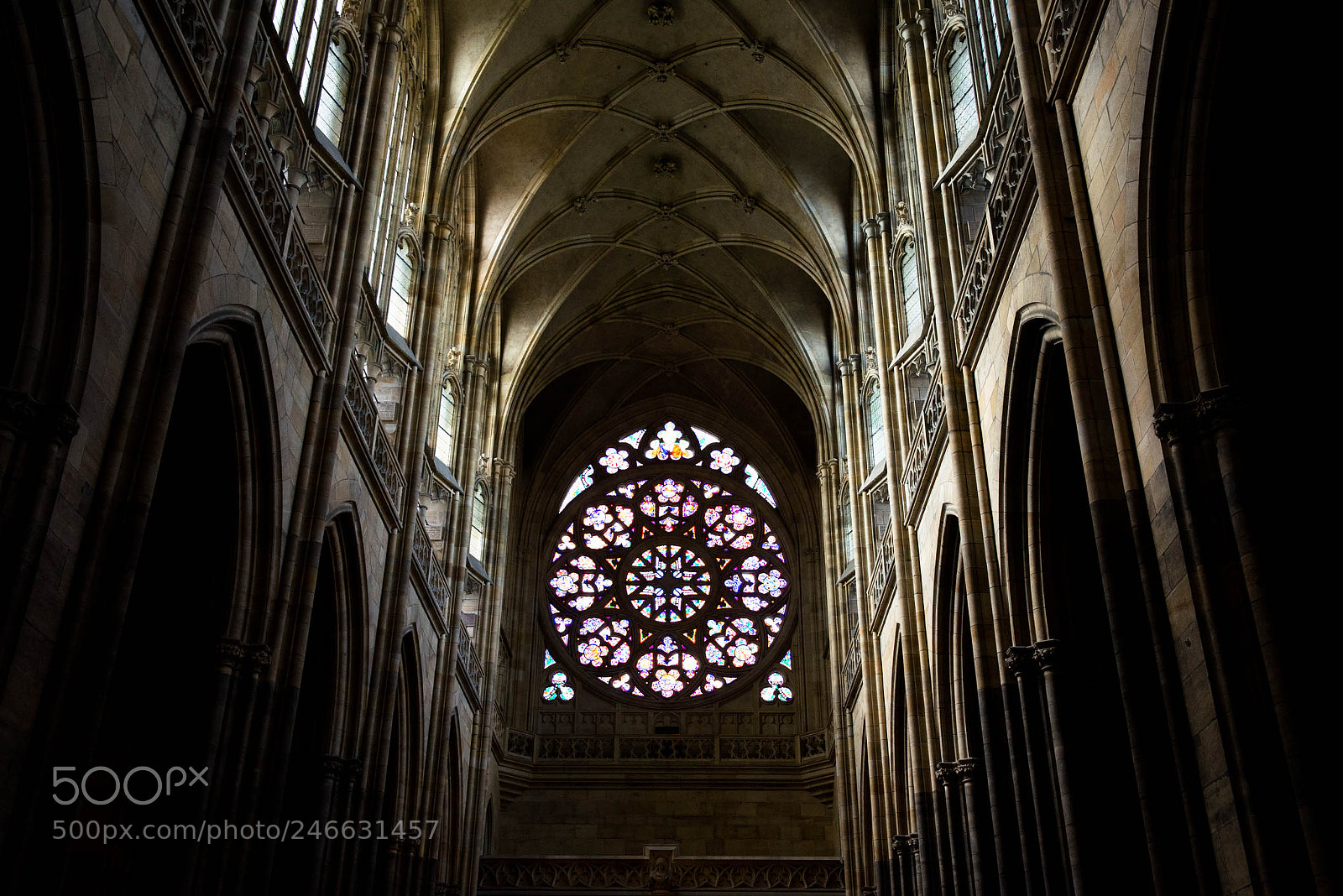 Nikon D610 sample photo. In a building of photography