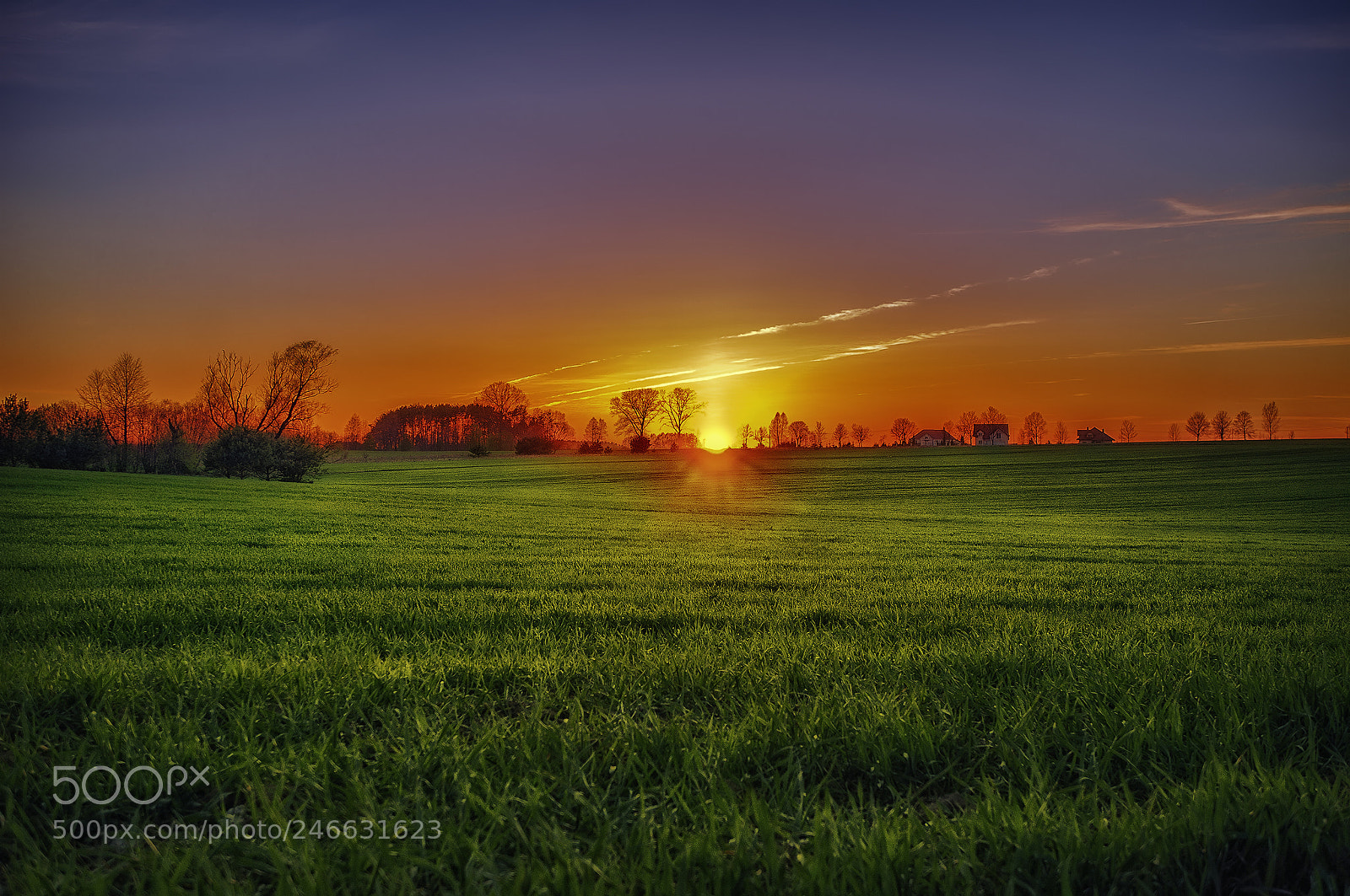Sony Alpha NEX-5T sample photo. Summer sunset photography