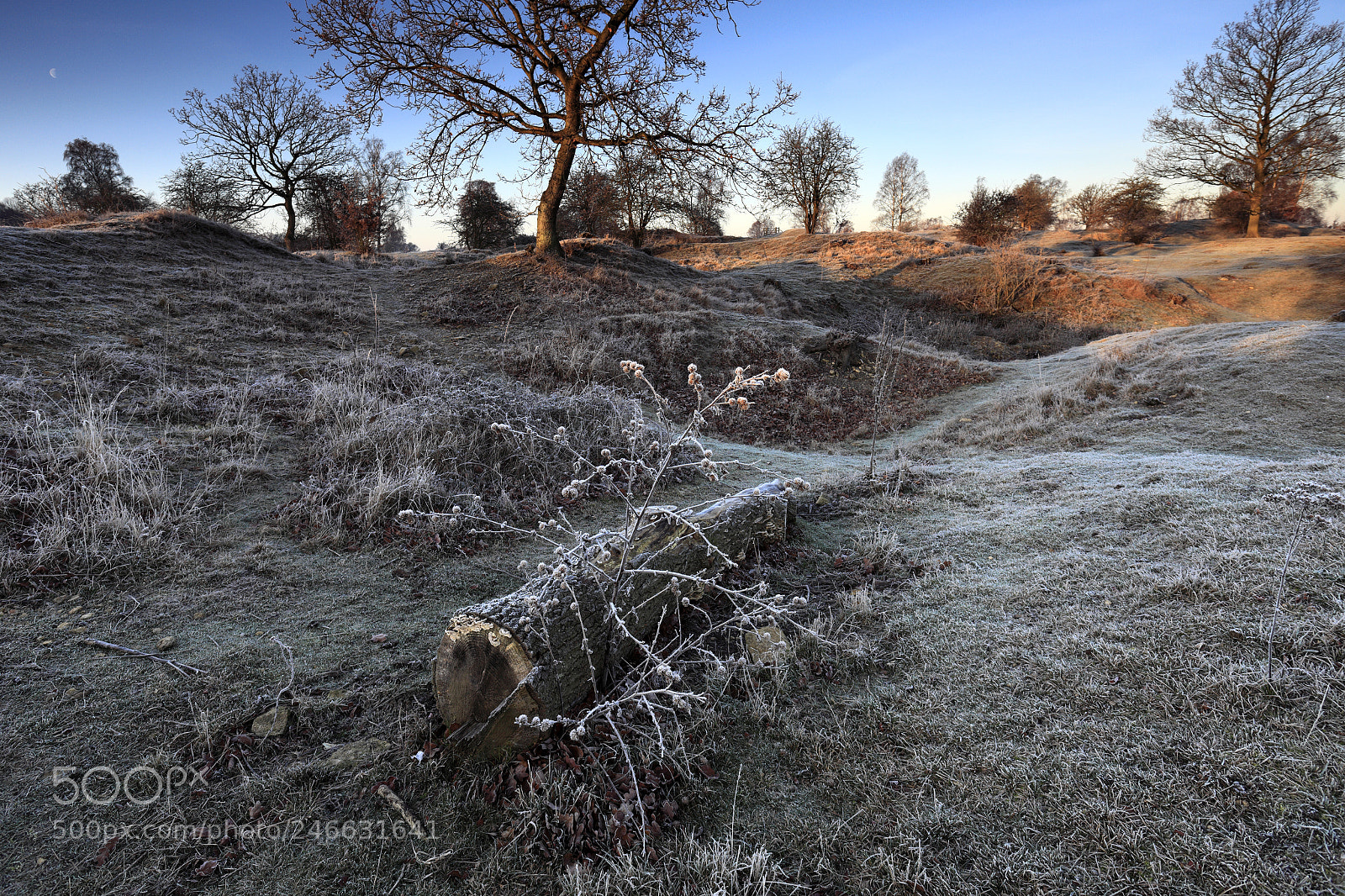 Canon EOS 5D Mark II sample photo. Winter frosty dawn, barnack photography