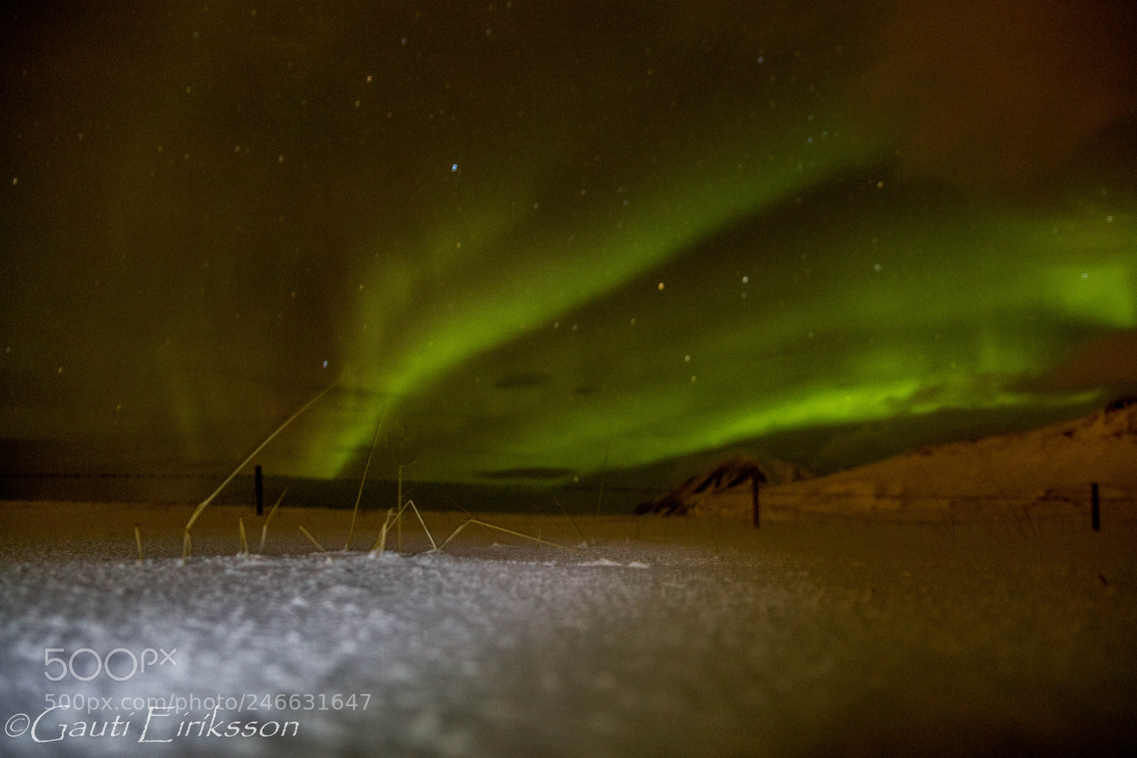 Canon EOS 700D (EOS Rebel T5i / EOS Kiss X7i) sample photo. Northern lights and the photography