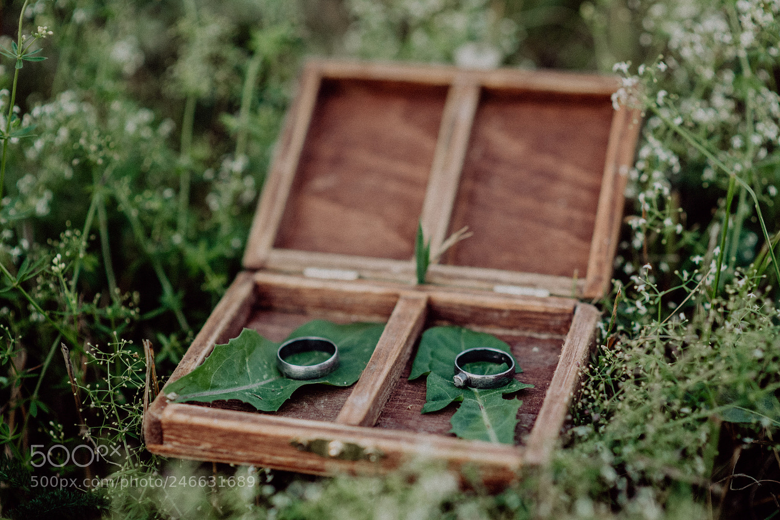 Nikon D5 sample photo. Wedding rings in a photography
