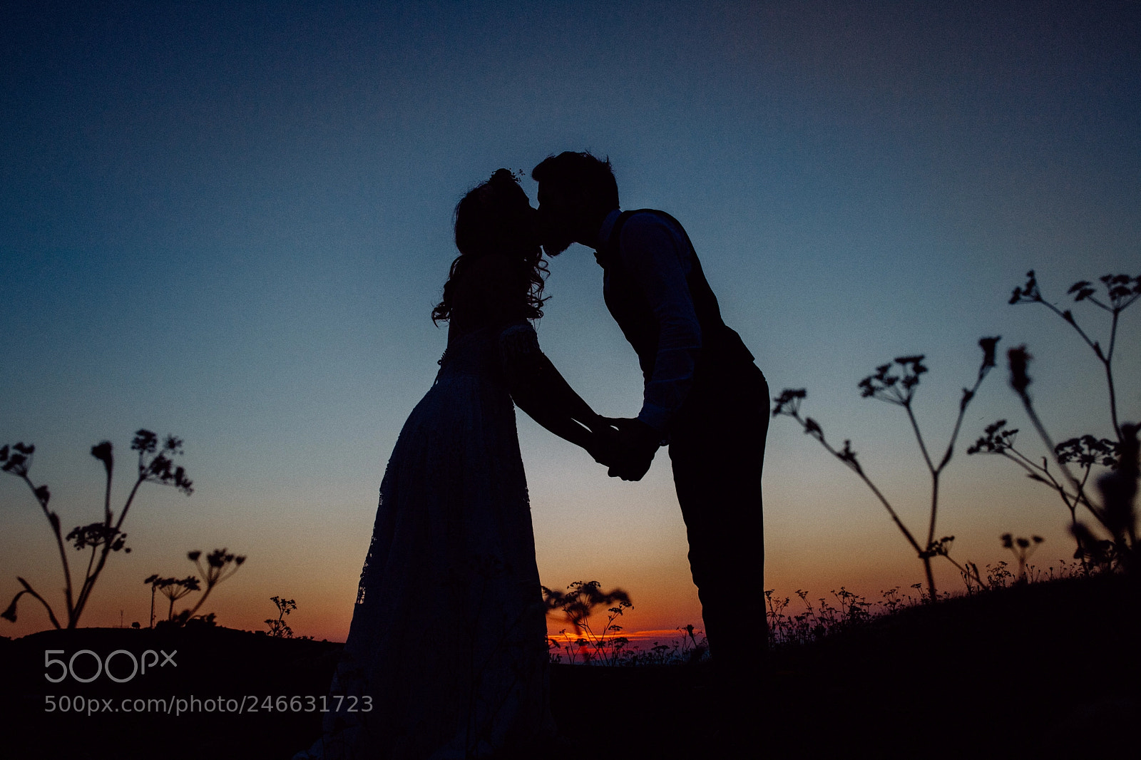 Nikon D5 sample photo. Silouethes of bride and photography