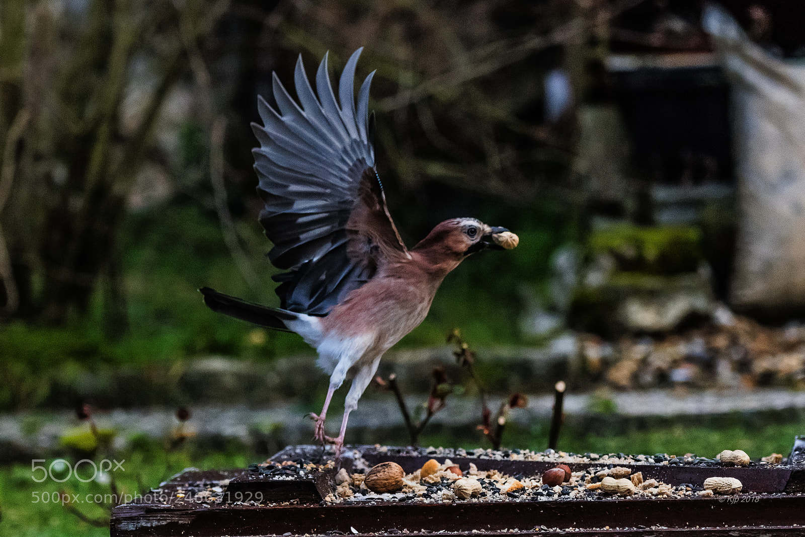 Nikon D850 sample photo. _8a07702_0.jpg photography