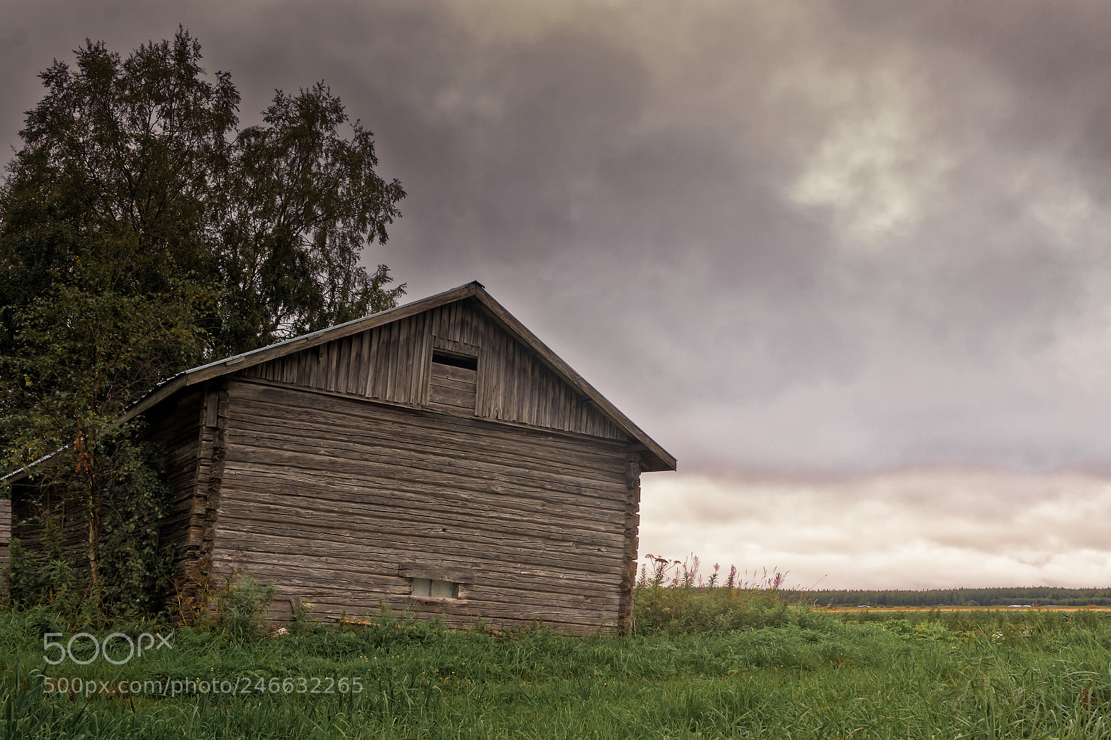 Canon EOS 50D sample photo. Dramatic clouds over the photography