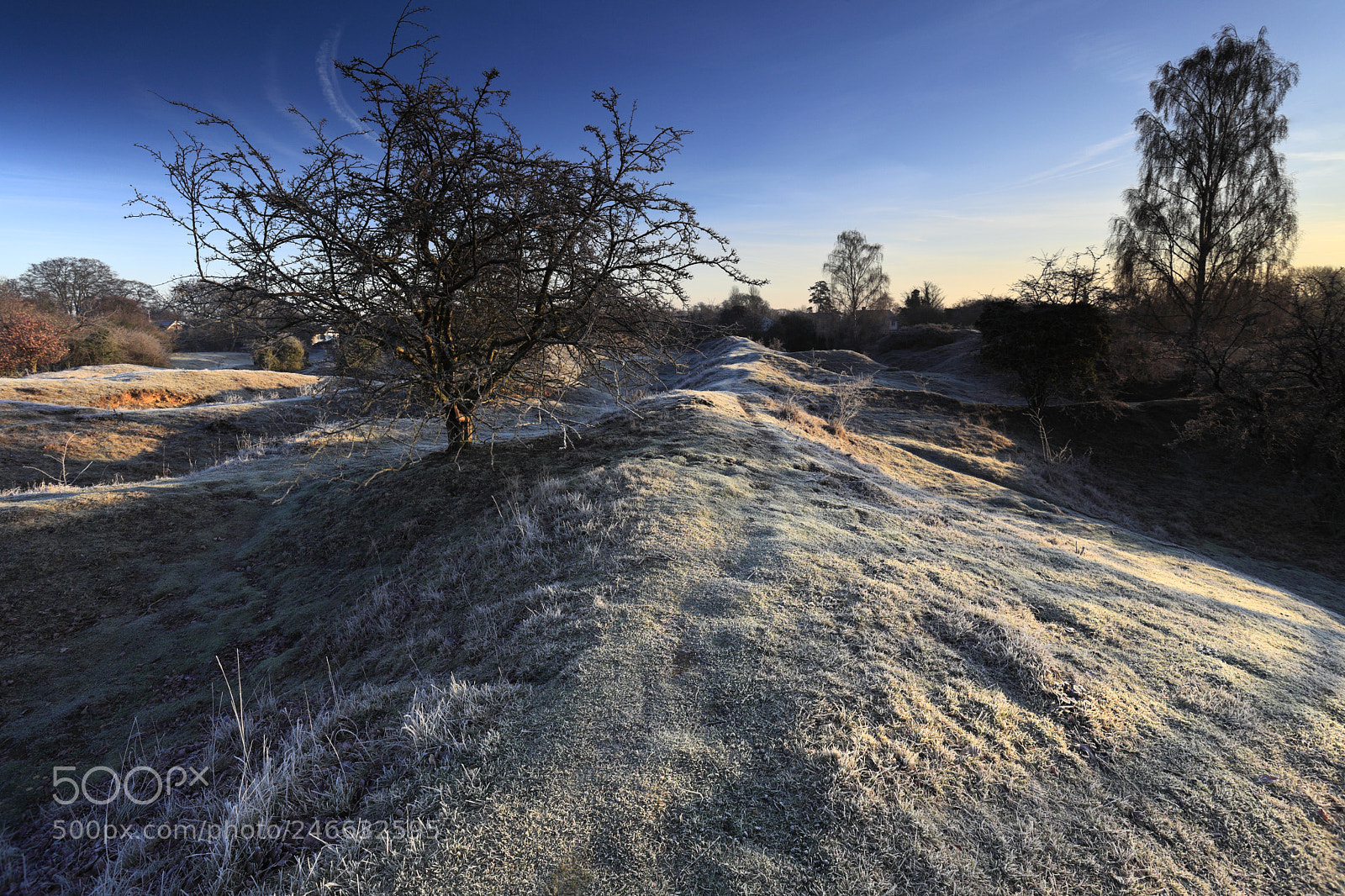 Canon EOS 5D Mark II sample photo. Winter frosty dawn, barnack photography