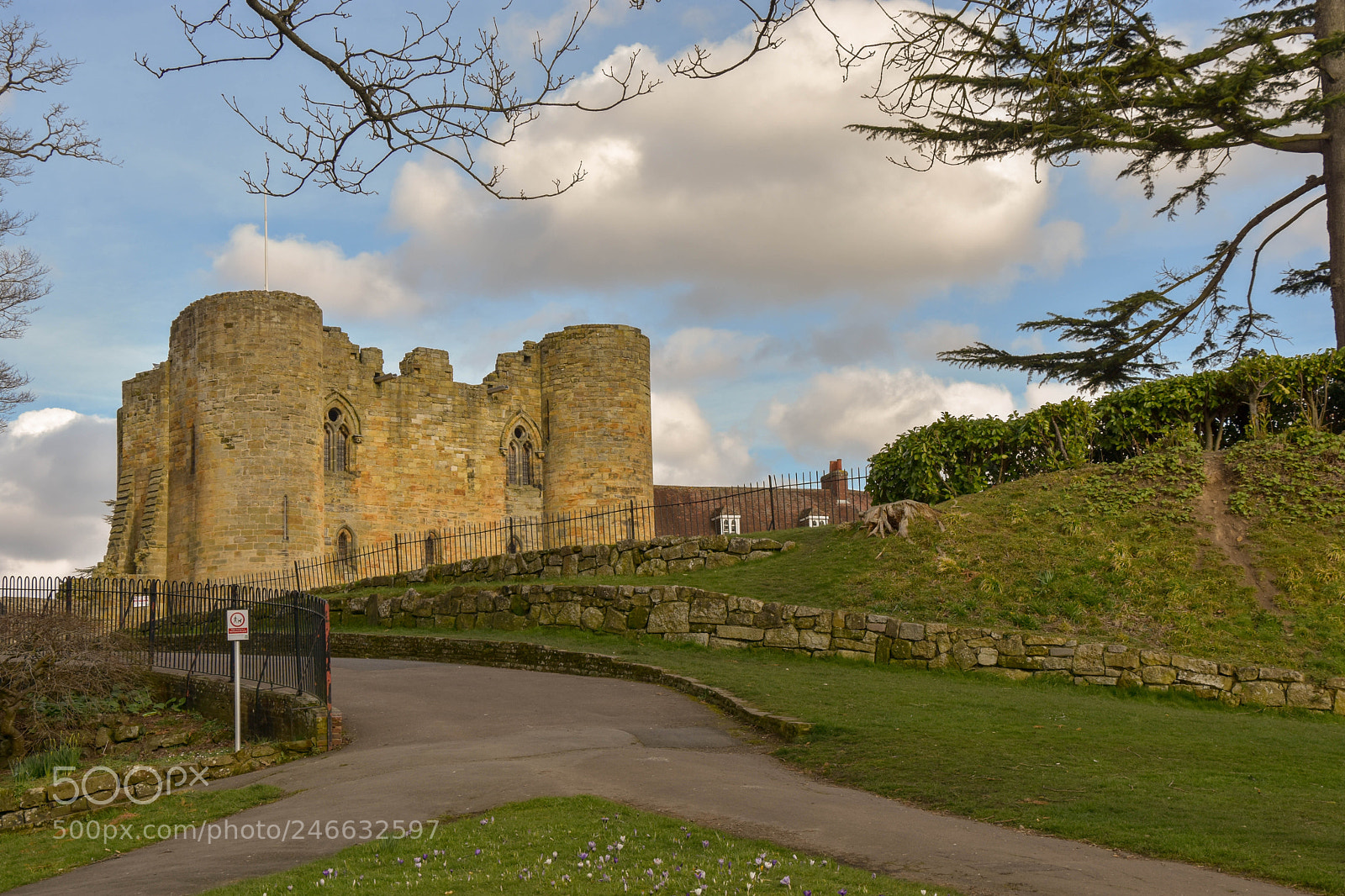 Nikon D7200 sample photo. Tonbridge castle photography