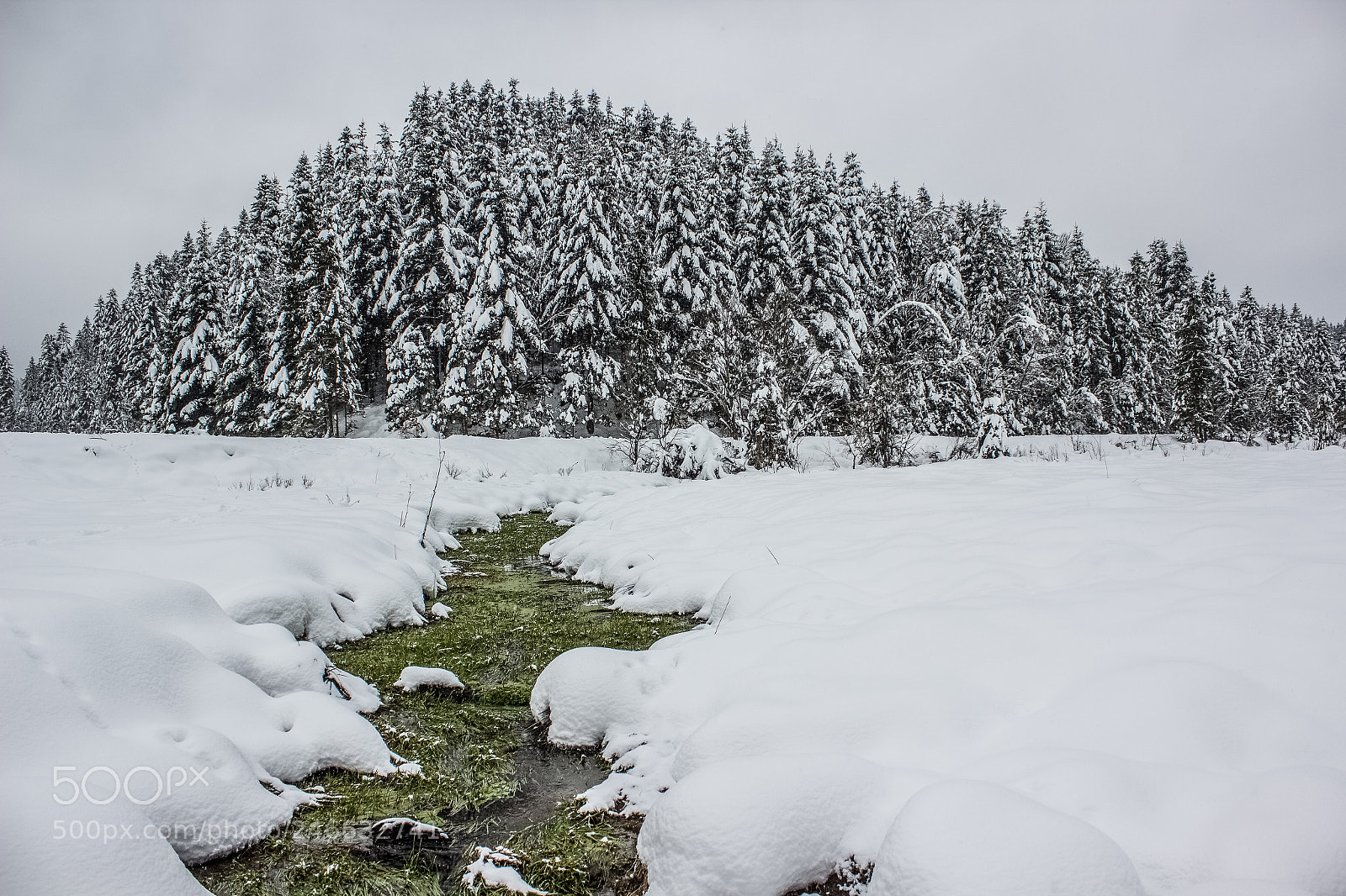 Canon EOS 600D (Rebel EOS T3i / EOS Kiss X5) sample photo. Lonely mountain photography