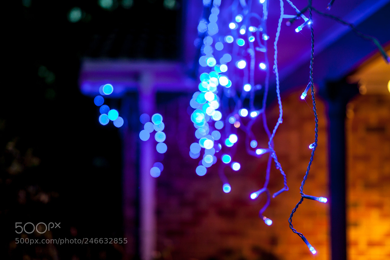 Canon EOS 500D (EOS Rebel T1i / EOS Kiss X3) sample photo. Christmas lights photography