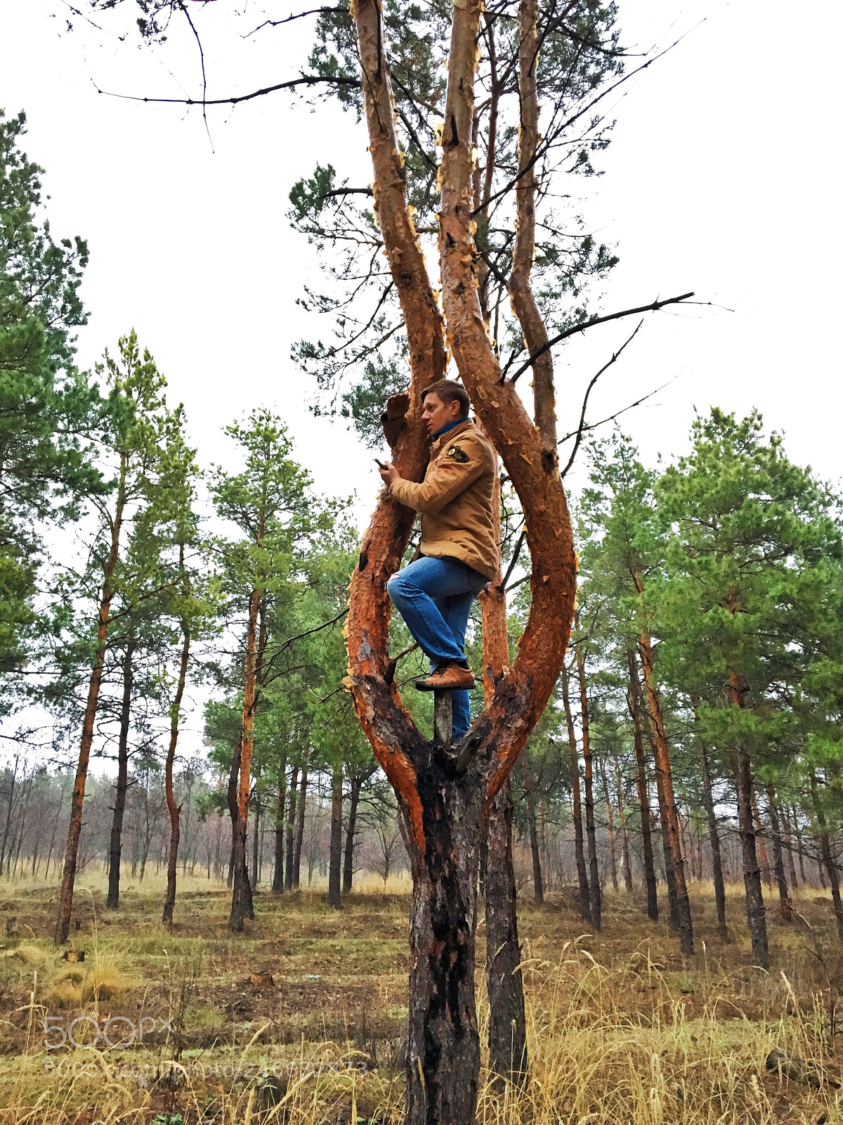 Apple iPhone 6s sample photo. В поисках сотовой связи!:) photography