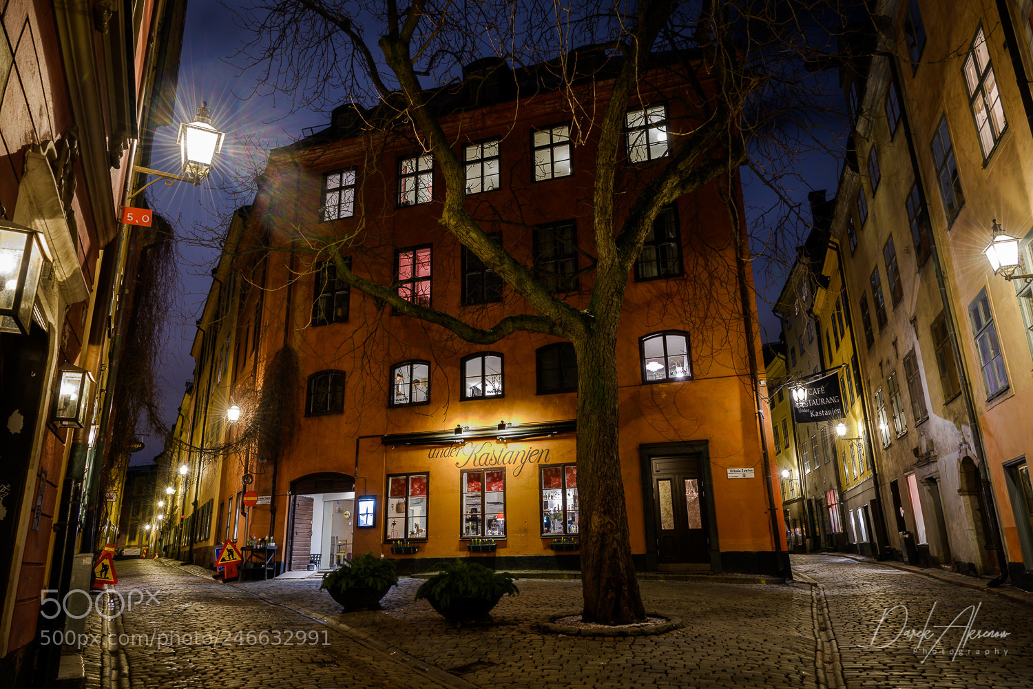 Nikon D850 sample photo. Under kastanjen photography