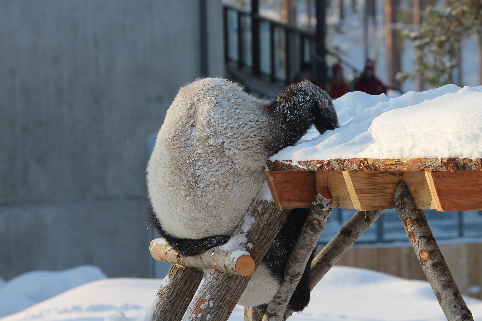 Canon EOS 700D (EOS Rebel T5i / EOS Kiss X7i) sample photo. Many ways..... photography