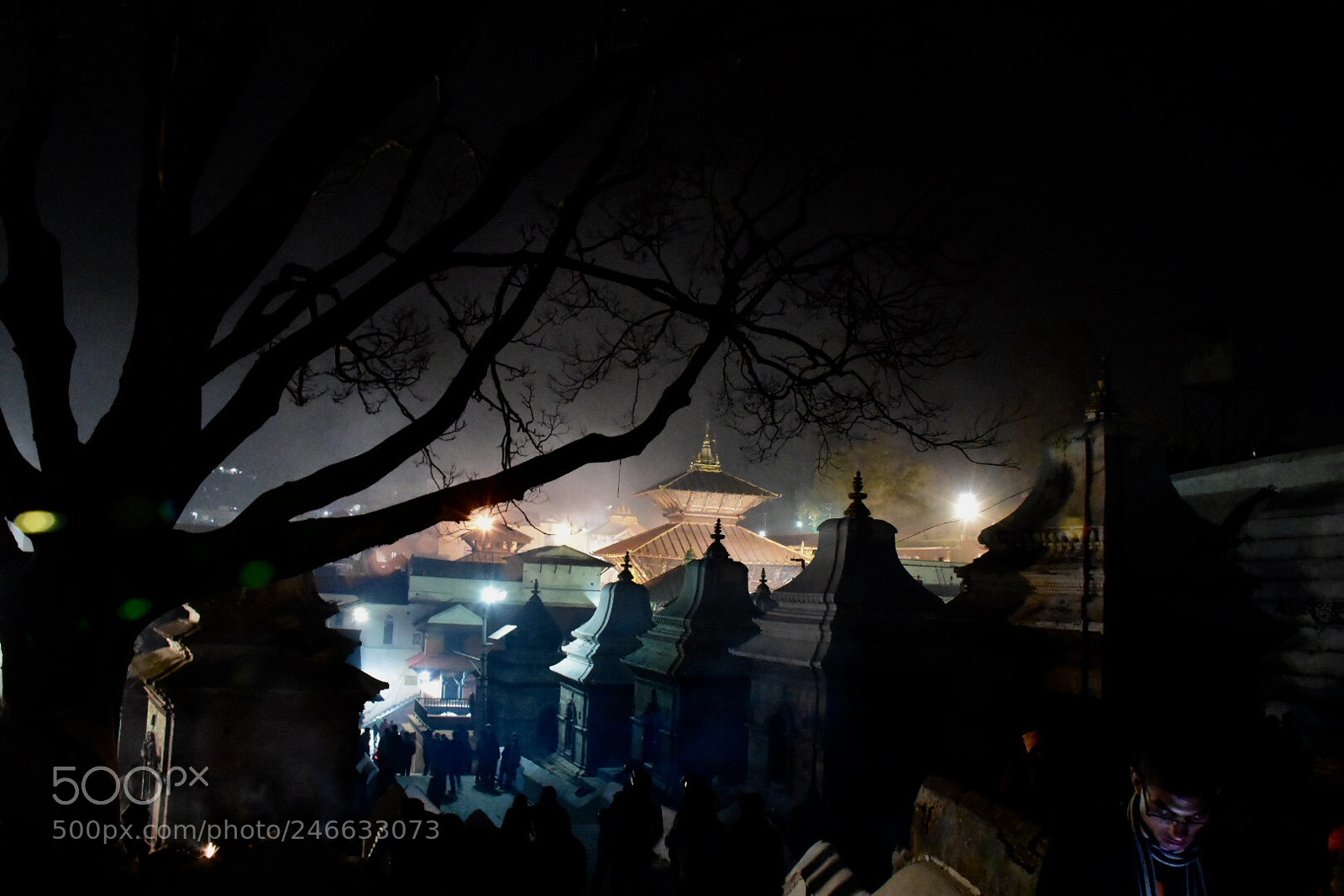 Nikon D7200 sample photo. Shivaratri @ pashupati nath photography