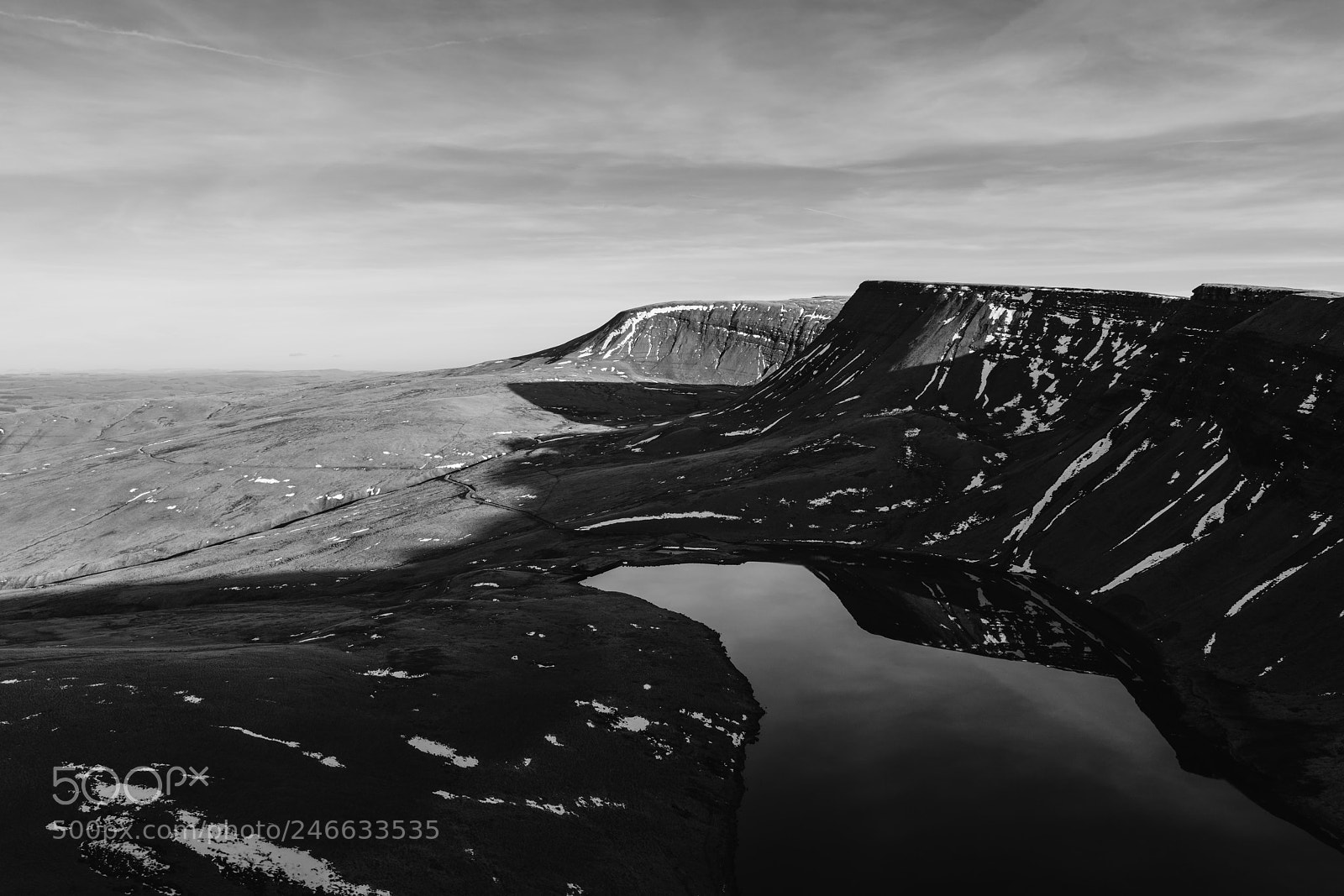 Sony a7R II sample photo. Fan foel photography
