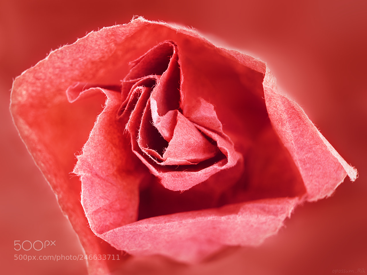 Panasonic Lumix DMC-FZ1000 sample photo. Paper flower photography