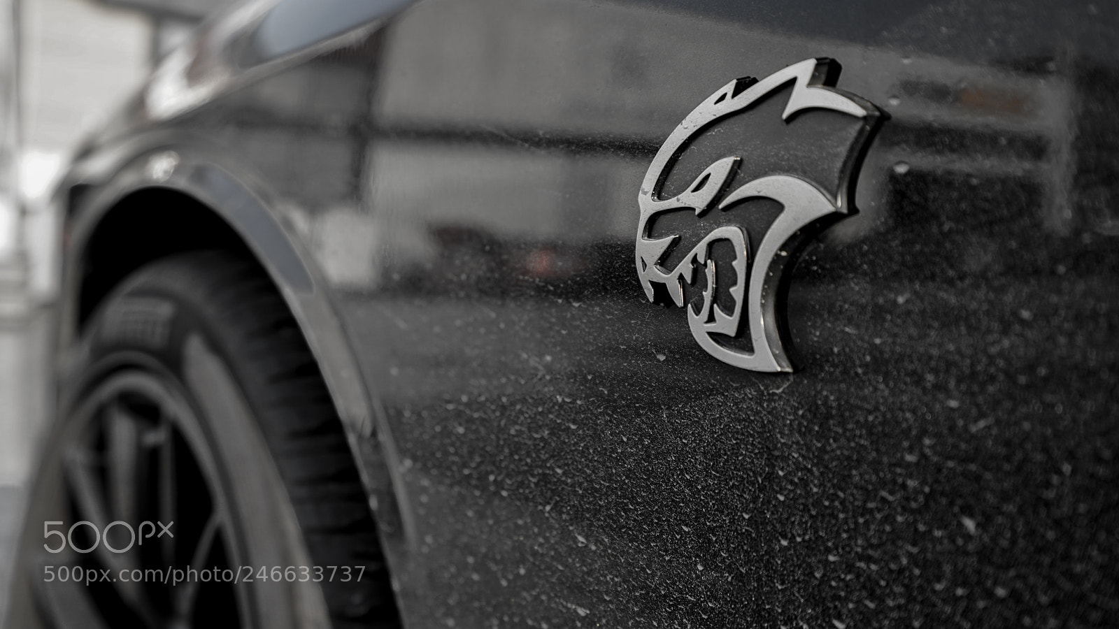 Sony a7 II sample photo. Dodge challenger hellcat 道奇地狱猫 photography