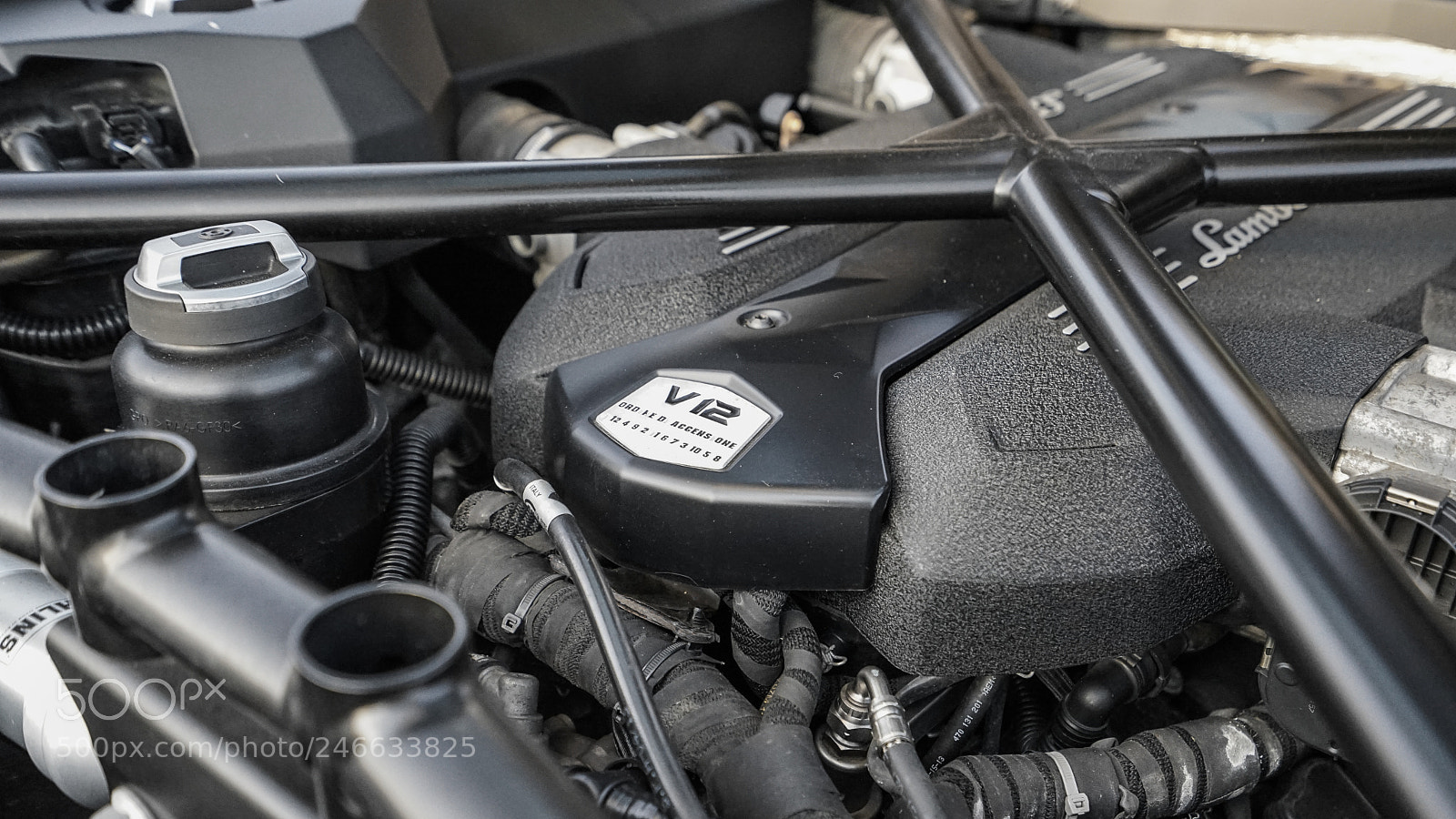 Sony a7 II sample photo. V12 engine 引擎 photography