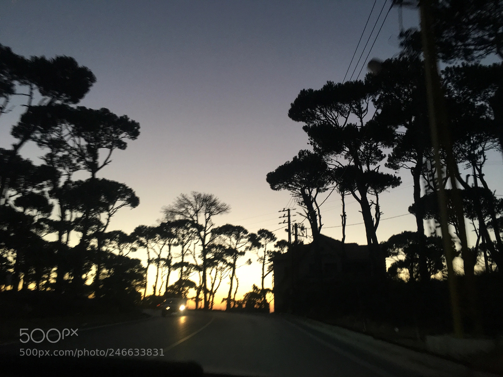 Apple iPhone 6s sample photo. #lebanon #sunset #roadintheforest photography